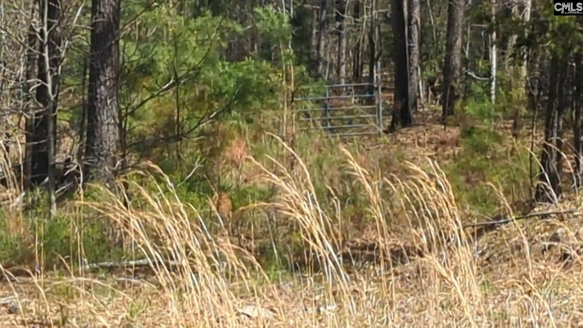 Photo 2 of Land for sale at Off Evergreen, Winnsboro, SC 29180 | MLS# 606376 | Listing updated on 2025-10-12