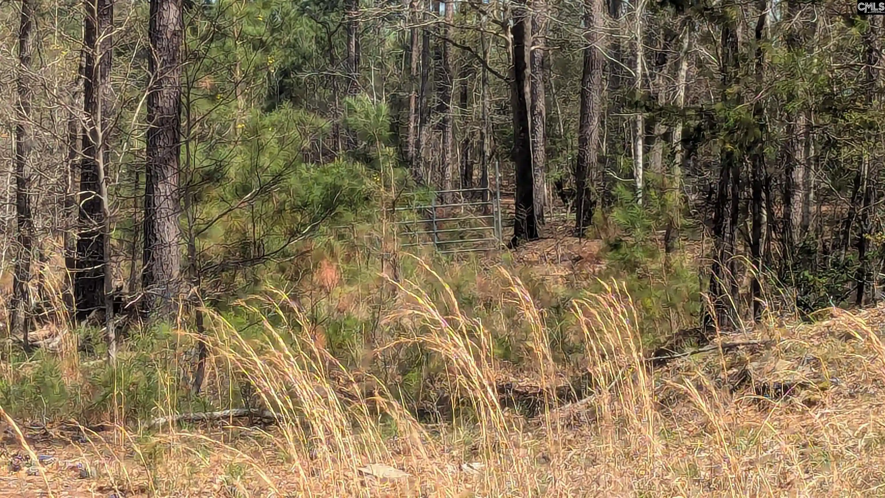 Photo 3 of Land for sale at Off Evergreen, Winnsboro, SC 29180 | MLS# 606376 | Listing updated on 2025-10-12