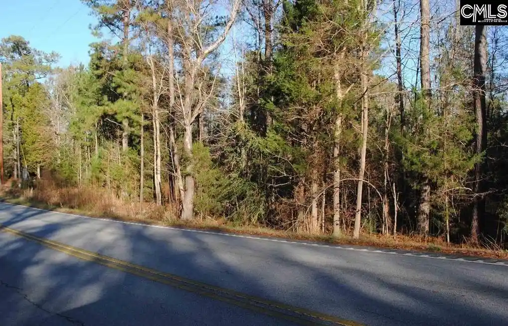 Photo 2 of Land for sale at E/s Old Hilton, Chapin, SC 29036 | MLS# 606800 | Listing updated on 2026-04-30