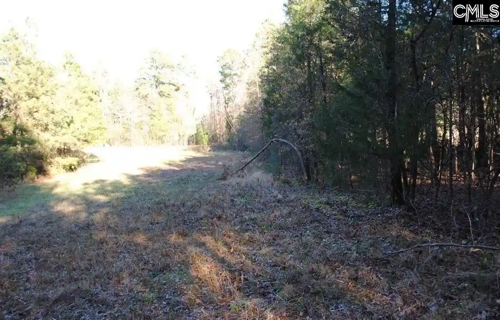 Photo 3 of Land for sale at E/S Old Hilton, Chapin, SC 29036 | MLS# 606800 | Listing updated on 2026-04-30