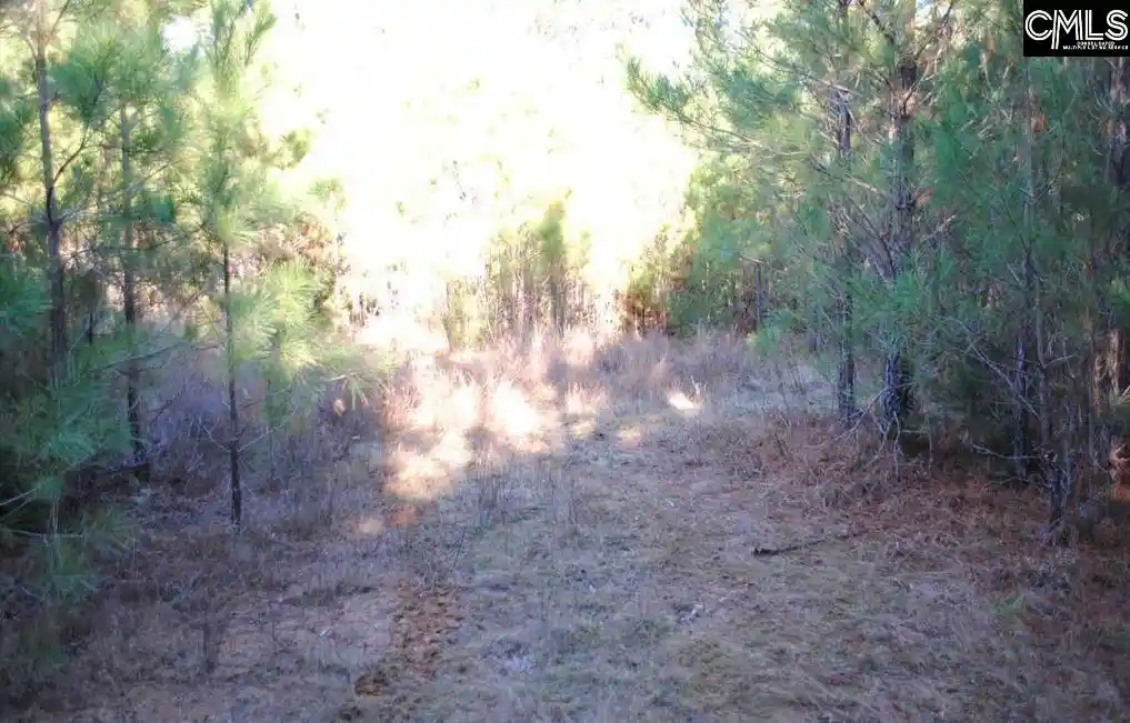 Photo 4 of Land for sale at E/S Old Hilton, Chapin, SC 29036 | MLS# 606800 | Listing updated on 2026-04-30