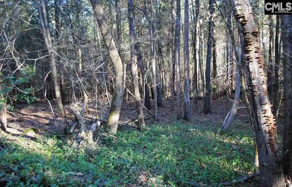 Photo 5 of Land for sale at E/S Old Hilton, Chapin, SC 29036 | MLS# 606800 | Listing updated on 2026-04-30