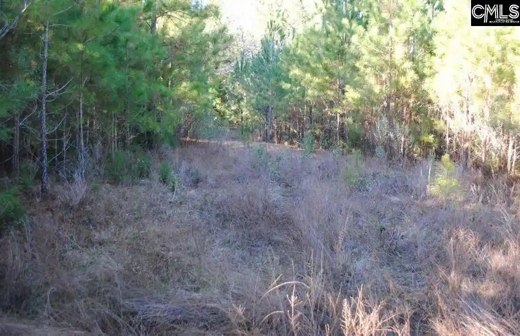 Photo 6 of Land for sale at E/s Old Hilton, Chapin, SC 29036 | MLS# 606800 | Listing updated on 2026-04-30