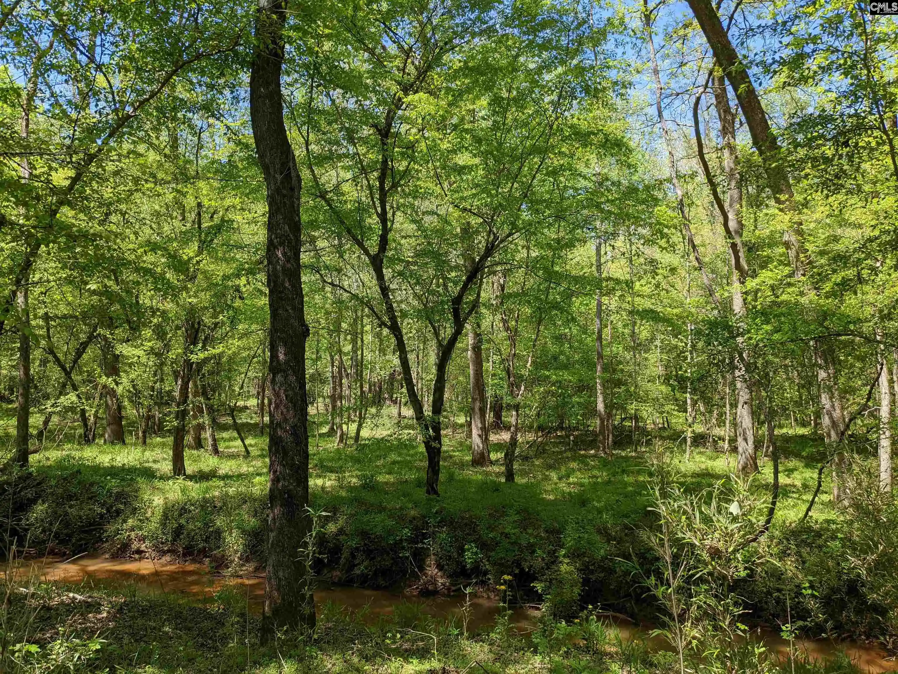 Photo 2 of Land for sale at Old Hillcrest School Road, Winnsboro, SC 29180 | MLS# 607280 | Listing updated on 2026-08-17