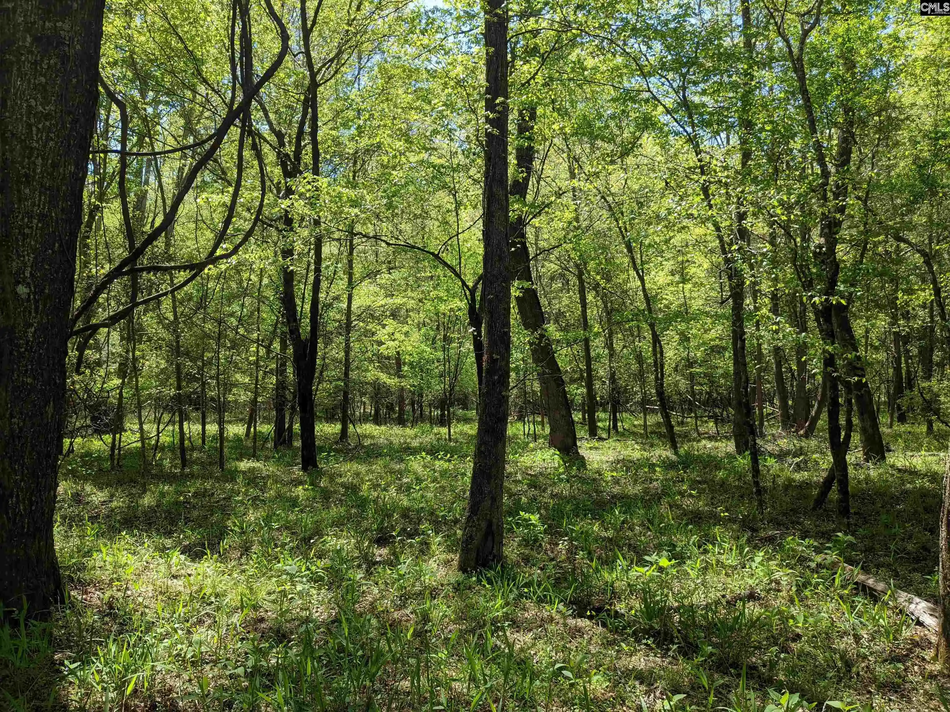Photo 3 of Land for sale at Old Hillcrest School Road, Winnsboro, SC 29180 | MLS# 607280 | Listing updated on 2026-08-17
