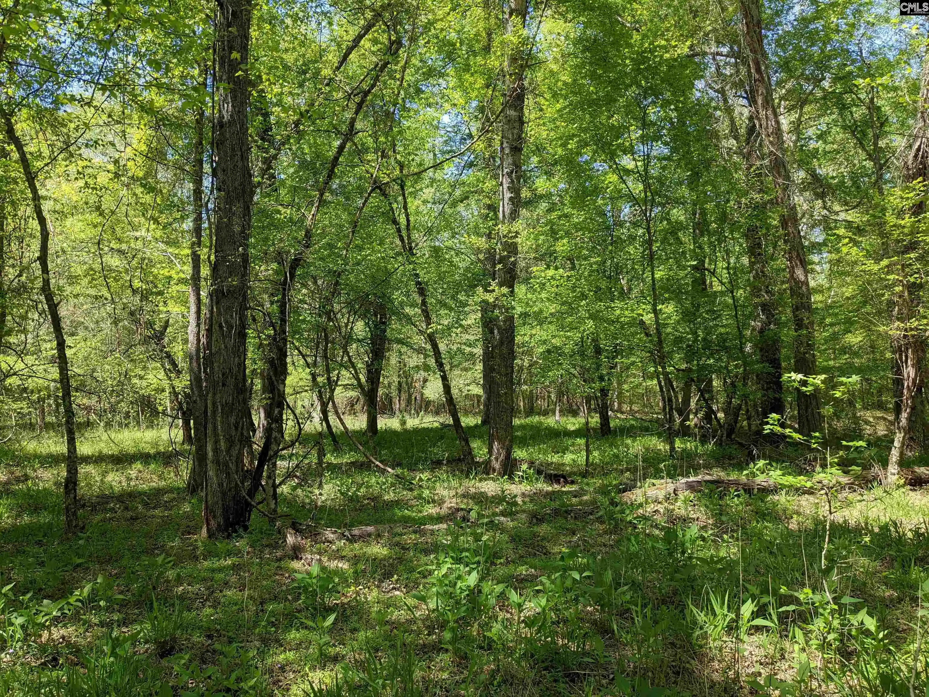 Photo 4 of Land for sale at Old Hillcrest School Road, Winnsboro, SC 29180 | MLS# 607280 | Listing updated on 2026-08-17