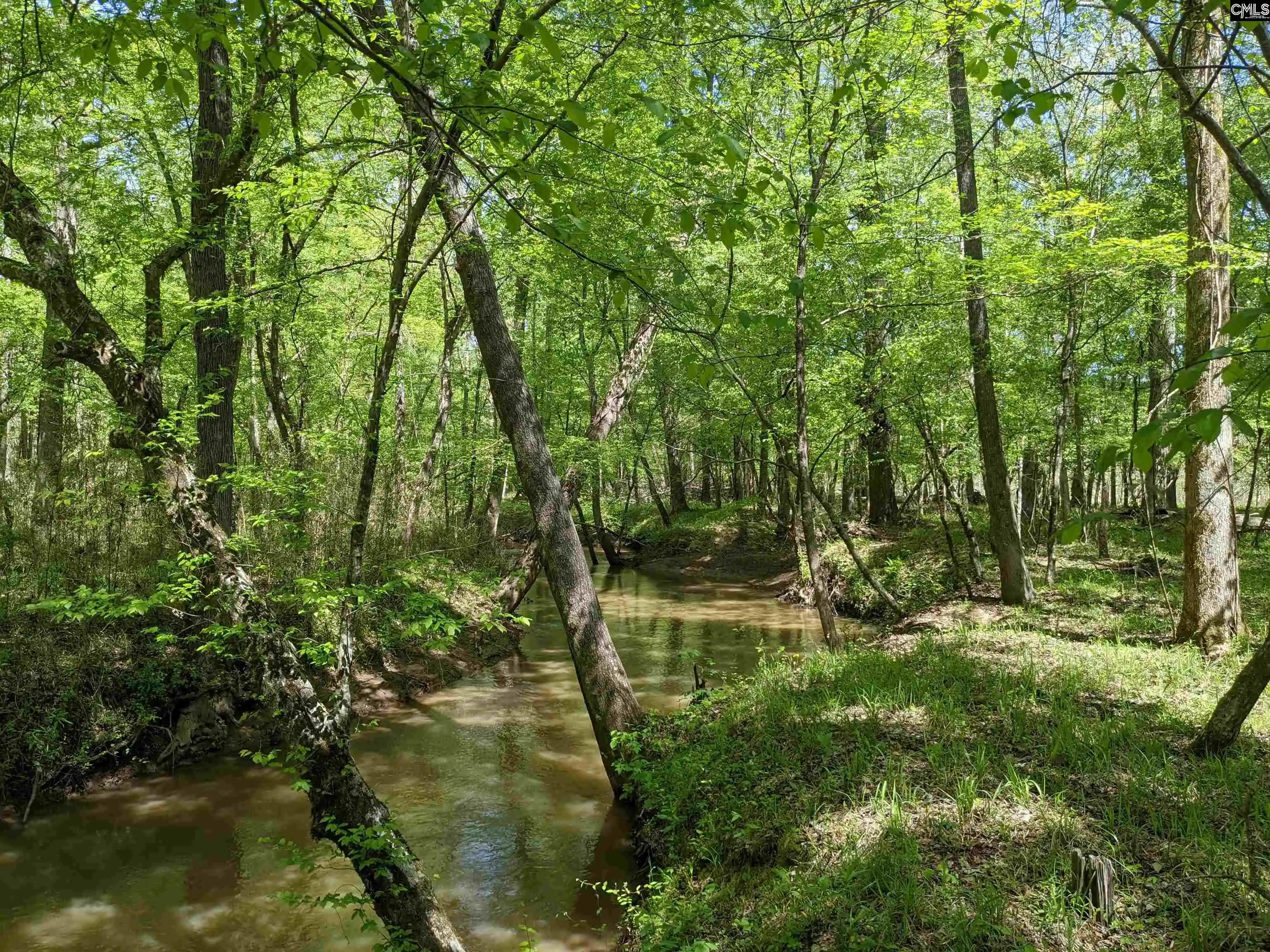 Photo 5 of Land for sale at Old Hillcrest School Road, Winnsboro, SC 29180 | MLS# 607280 | Listing updated on 2026-08-17