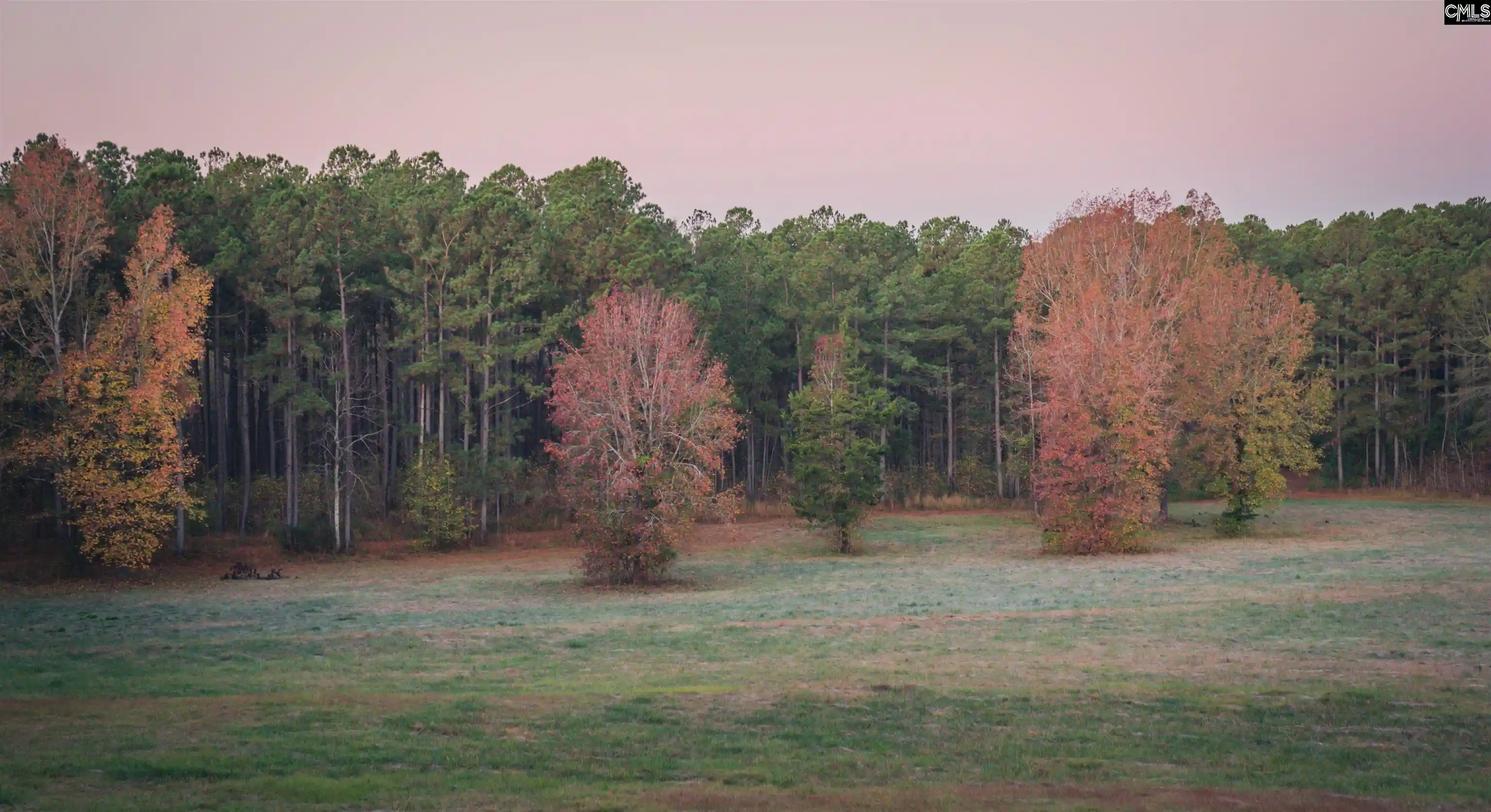 Photo 99 of Land for sale at Old Hillcrest School Road, Winnsboro, SC 29180 | MLS# 607280 | Listing updated on 2026-08-17