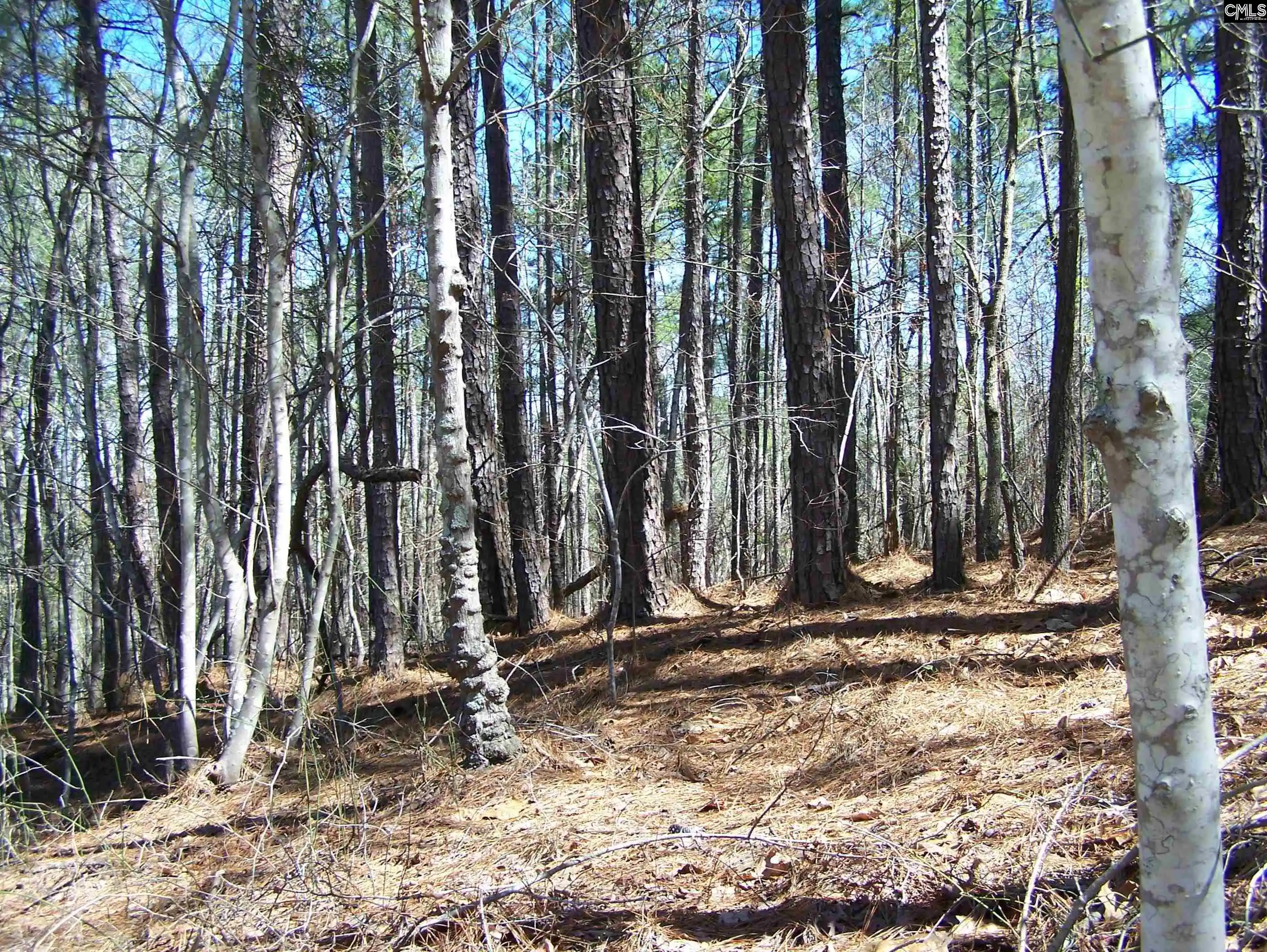 Land for sale at 305 - 321 Dubard Boyle, Columbia, SC 29203 | MLS# 607898