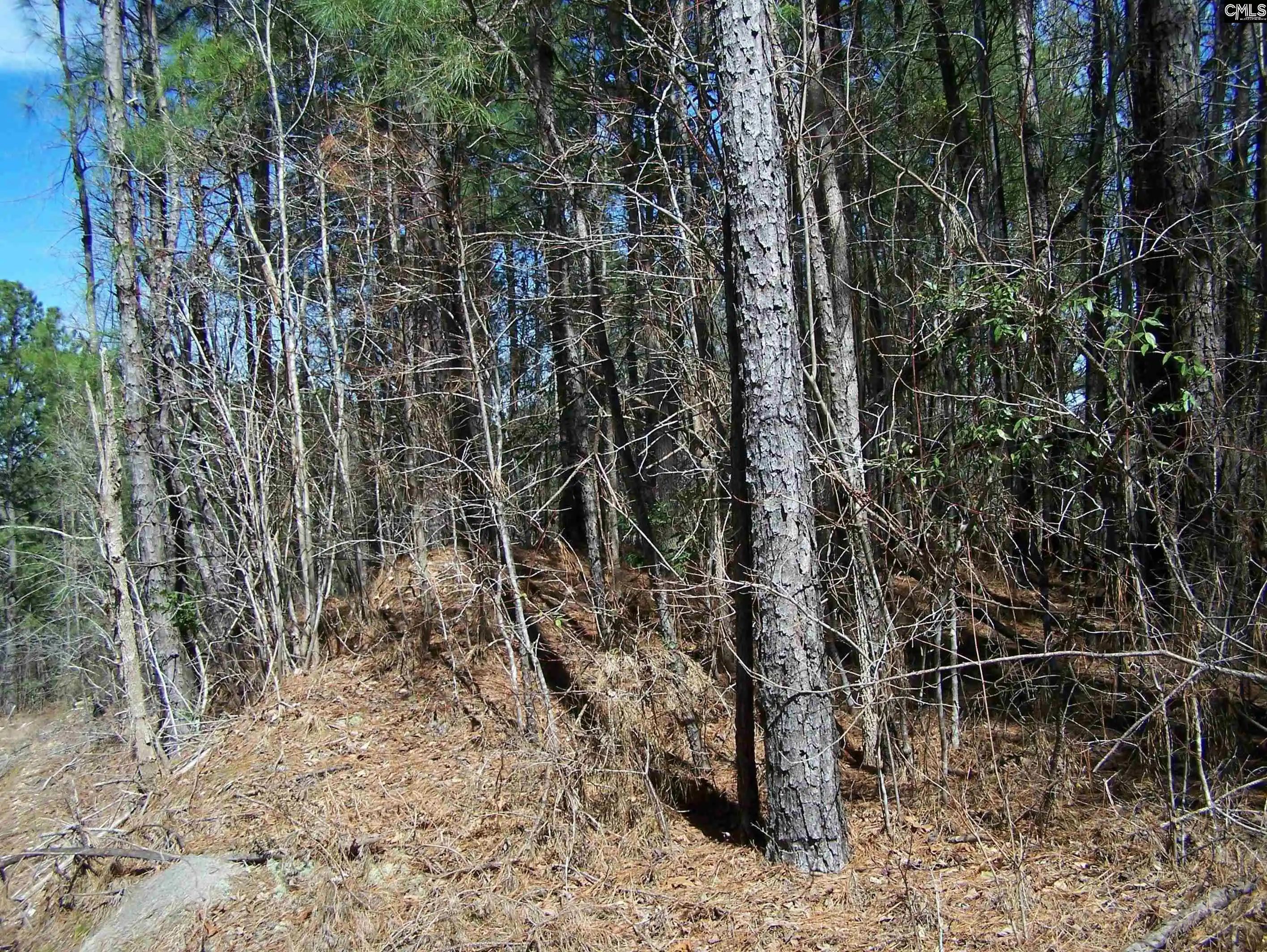 Photo 2 of Land for sale at 305   321 Dubard Boyle, Columbia, SC 29203 | MLS# 607898 | Listing updated on 2026-06-10