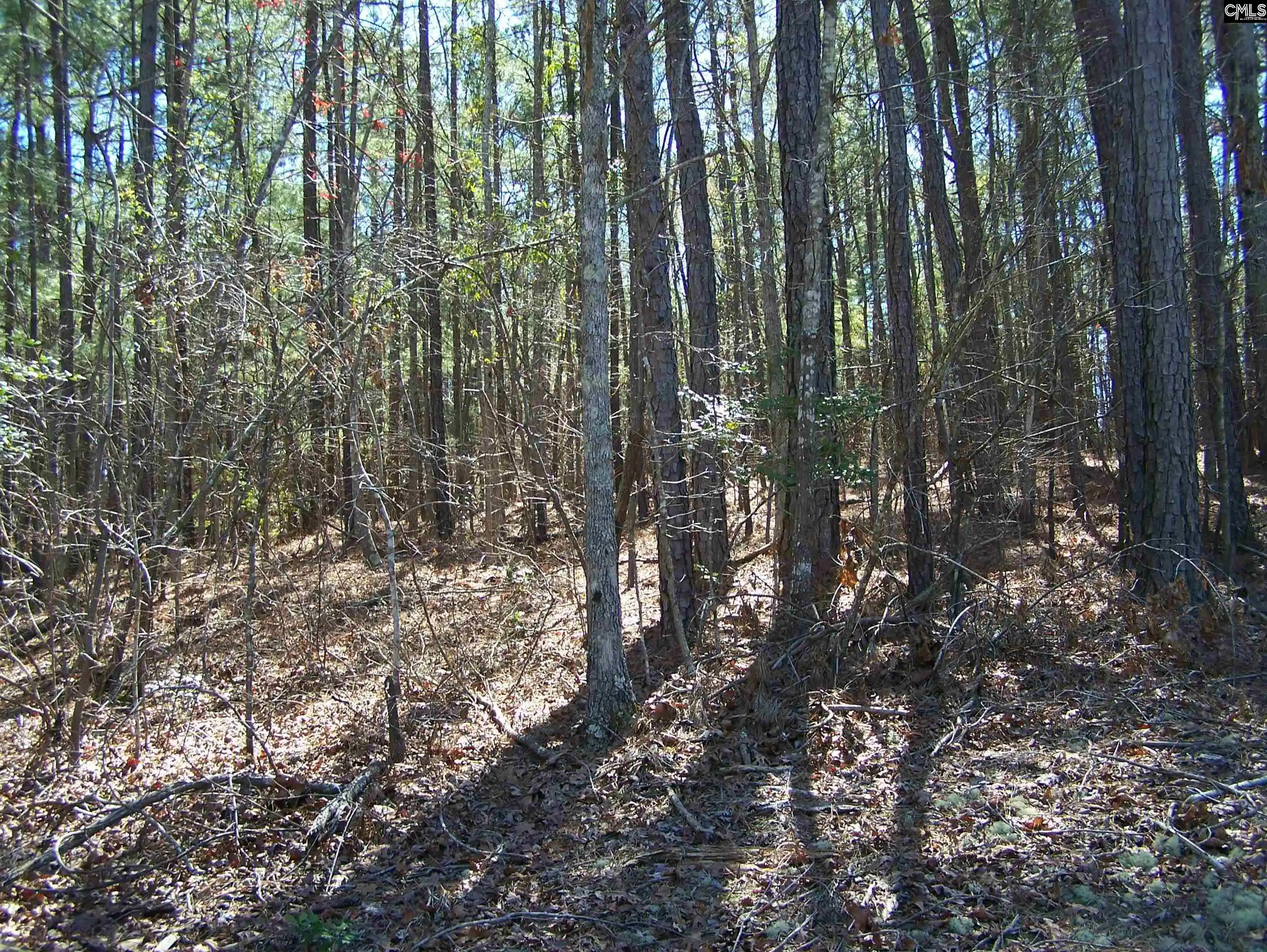 Photo 3 of Land for sale at 305   321 Dubard Boyle, Columbia, SC 29203 | MLS# 607898 | Listing updated on 2026-06-10