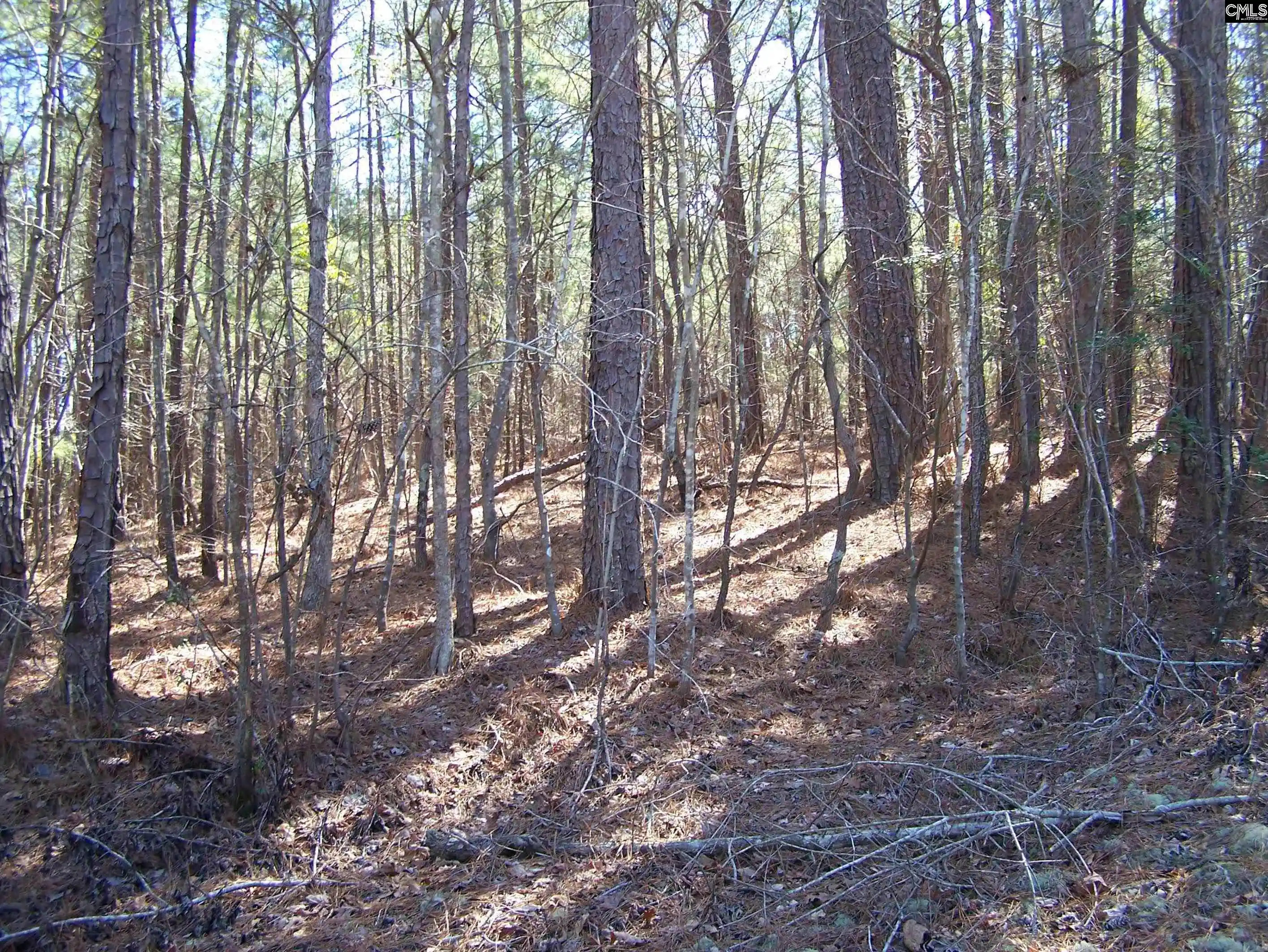 Photo 3 of Land for sale at 305 - 321 Dubard Boyle, Columbia, SC 29203 | MLS# 607898 | Listing updated on 2026-06-10