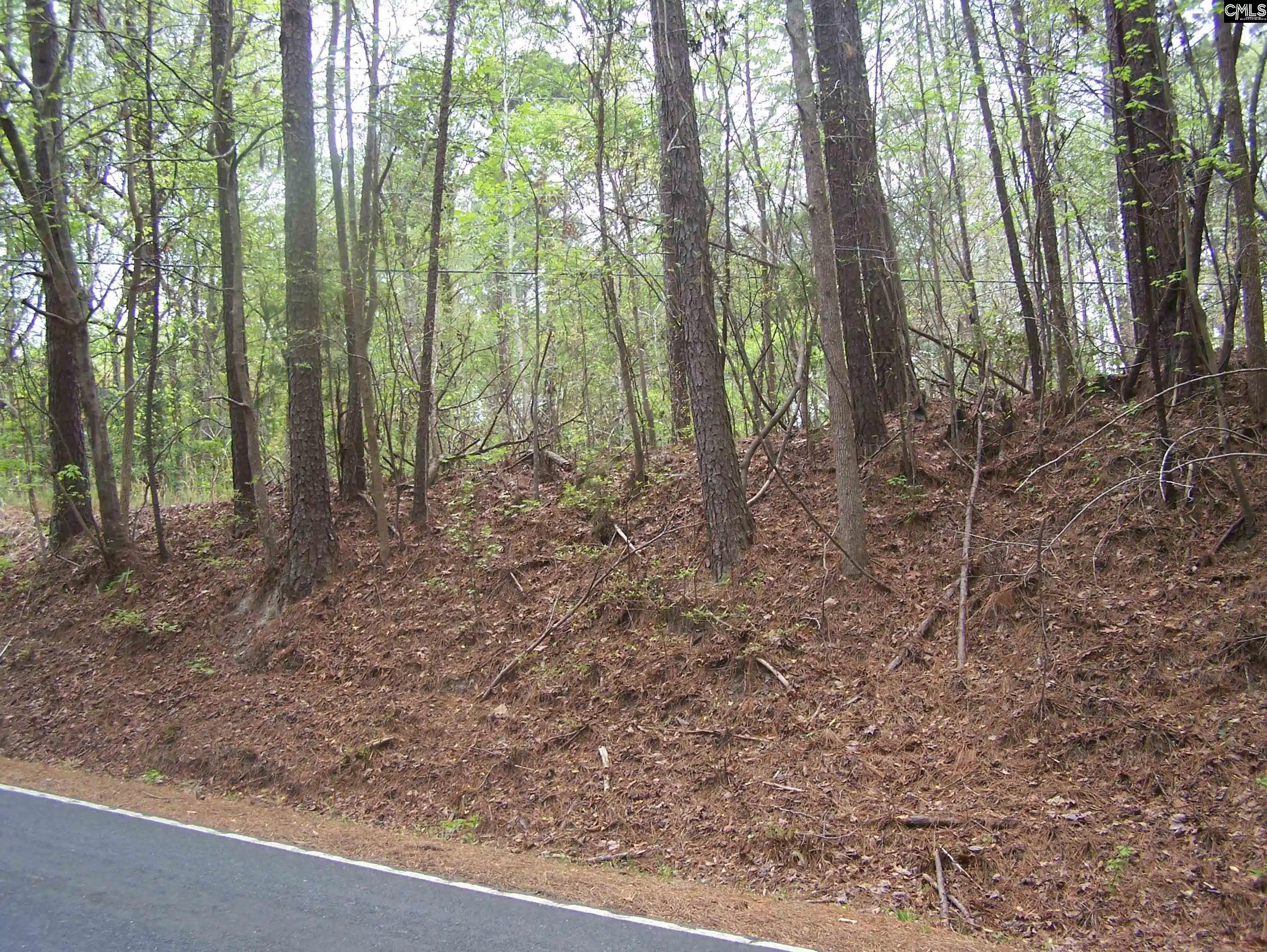 Photo 4 of Land for sale at 305 - 321 Dubard Boyle, Columbia, SC 29203 | MLS# 607898 | Listing updated on 2026-06-10