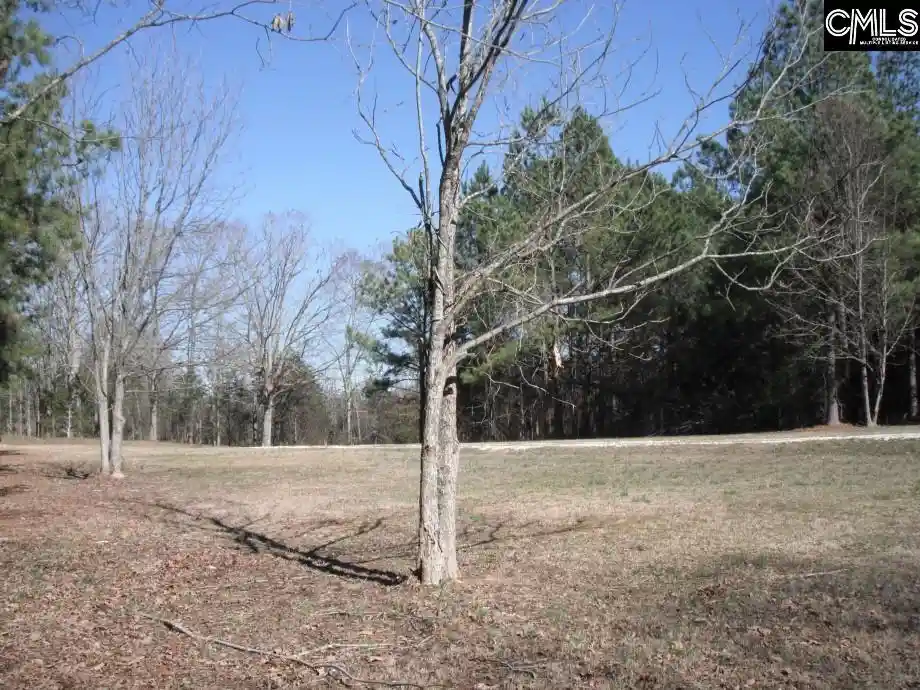 Photo 4 of Land for sale at 2852 Gaston Farm, Richburg, SC 29729 | MLS# 607935 | Listing updated on 2026-02-05