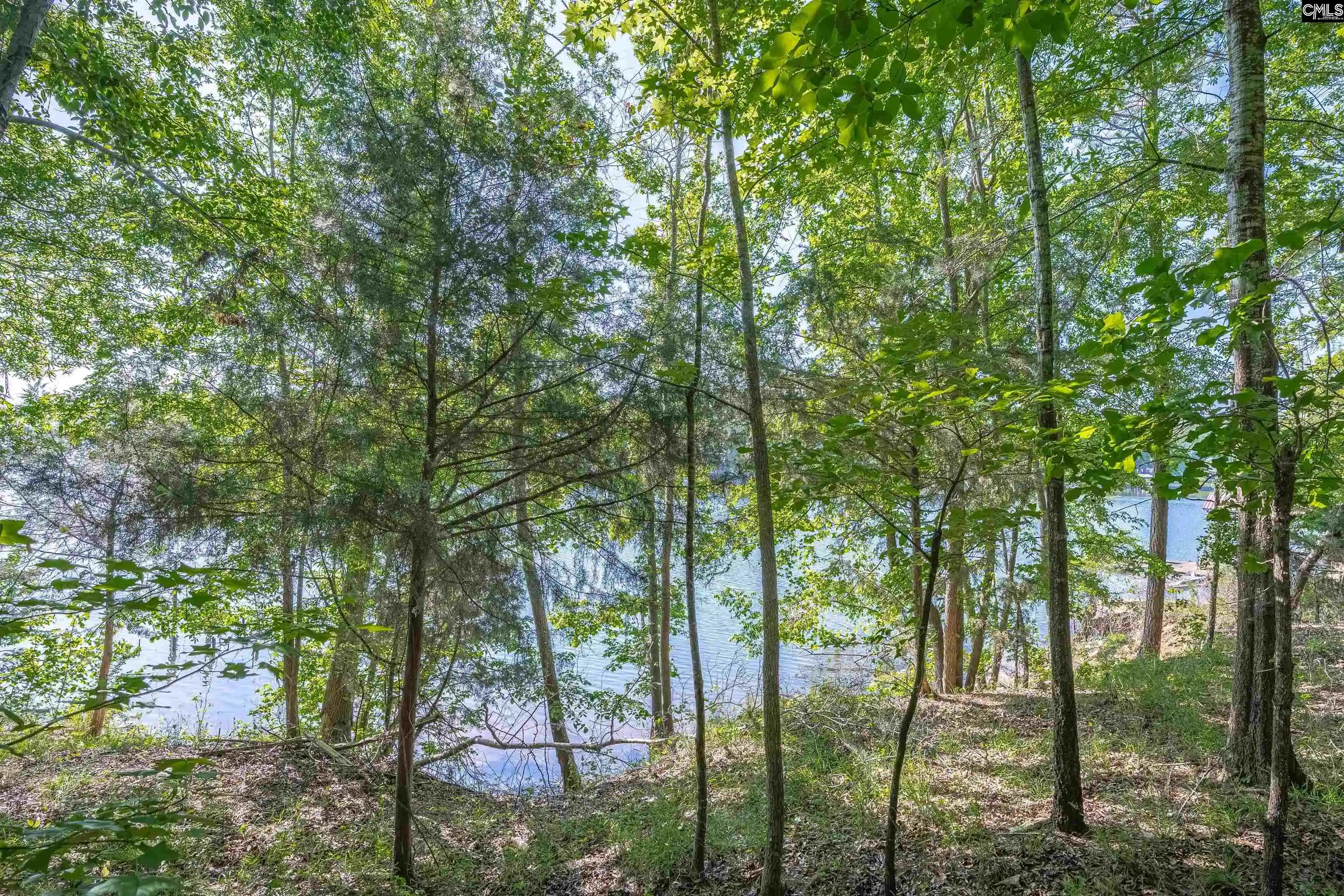 Homes for sale in Ridgeway, SC | 2022 Lake, Ridgeway, SC 29130 | MLS# 609179