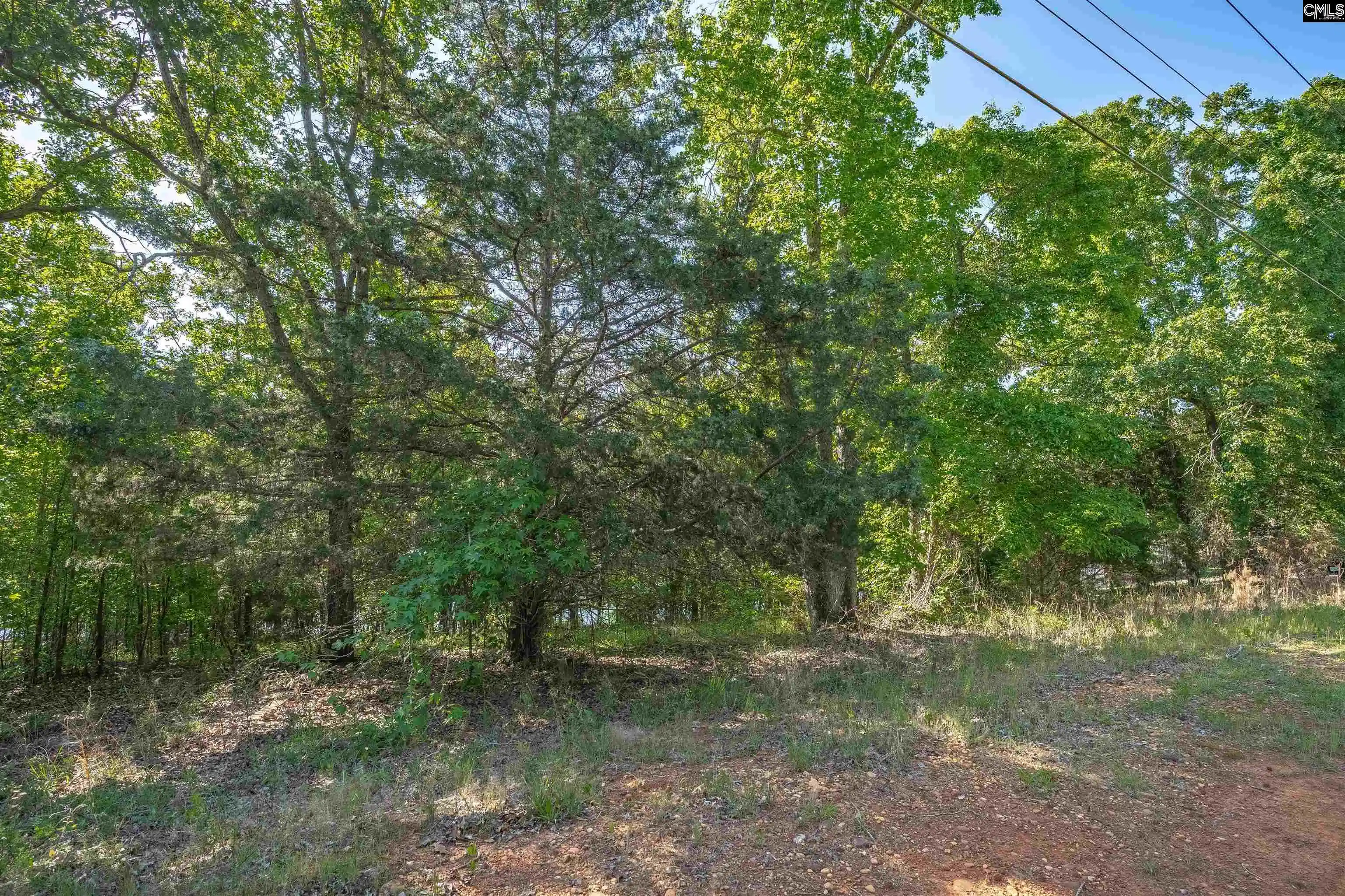 Homes for sale in Ridgeway, SC | 2022 Lake, Ridgeway, SC 29130 | MLS# 609179