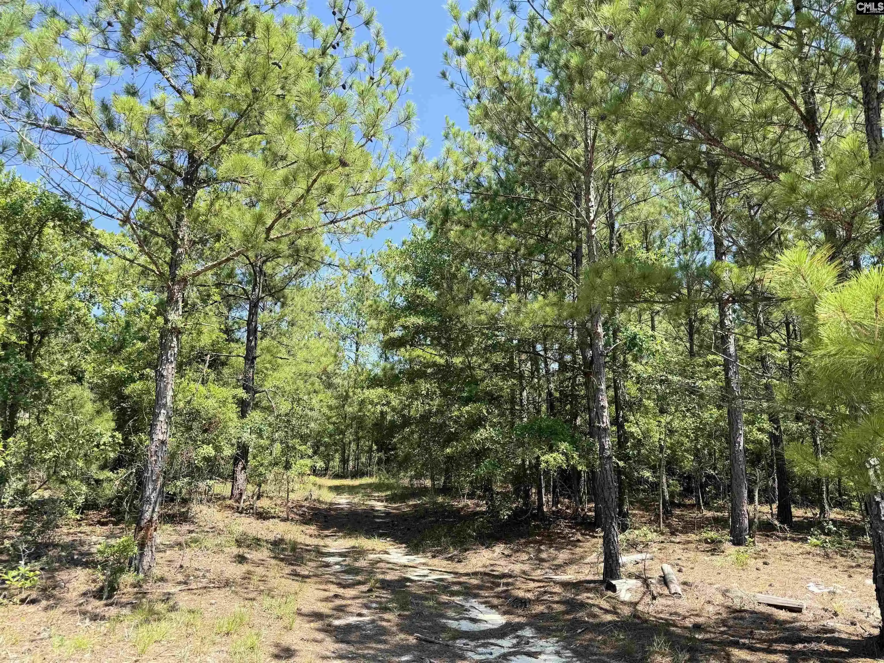 Photo 5 of Land for sale at 1137 A Smyrna, Elgin, SC 29045 | MLS# 611307 | Listing updated on 2026-07-31
