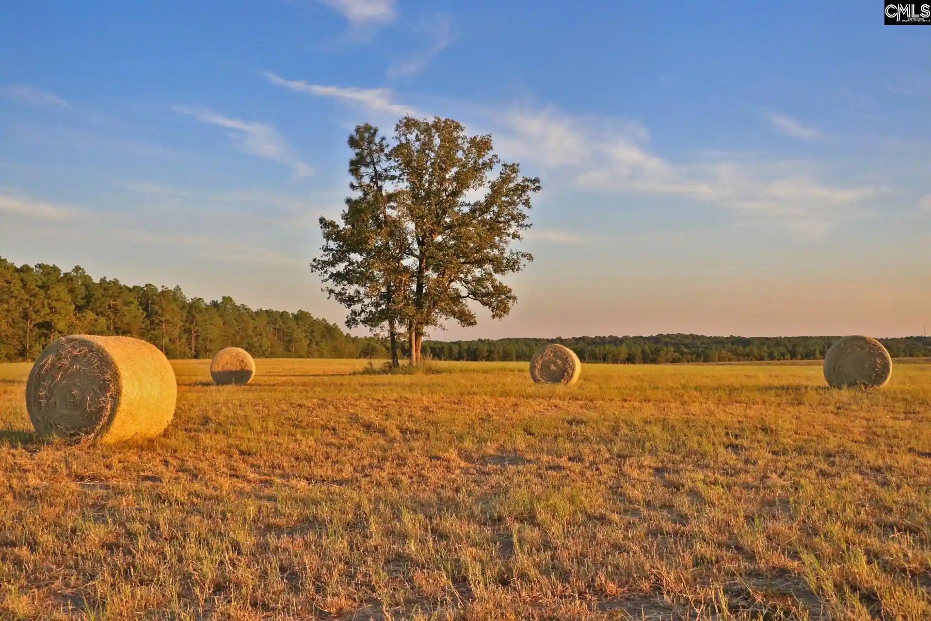 Photo 1 of Land for sale at Tbd Browns Pond, Wagener, SC 29164 | MLS# 611698 | Listing updated on 2026-06-19
