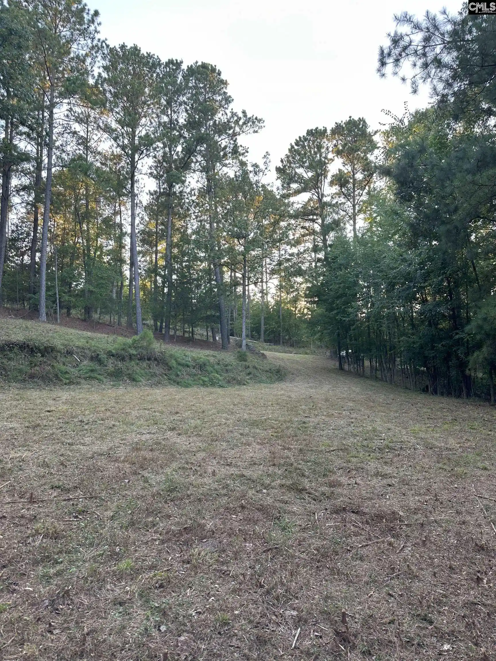 Photo 9 of Land for sale at 1672 Lakeshore, Camden, SC 29020 | MLS# 612059 | Listing updated on 2026-08-24