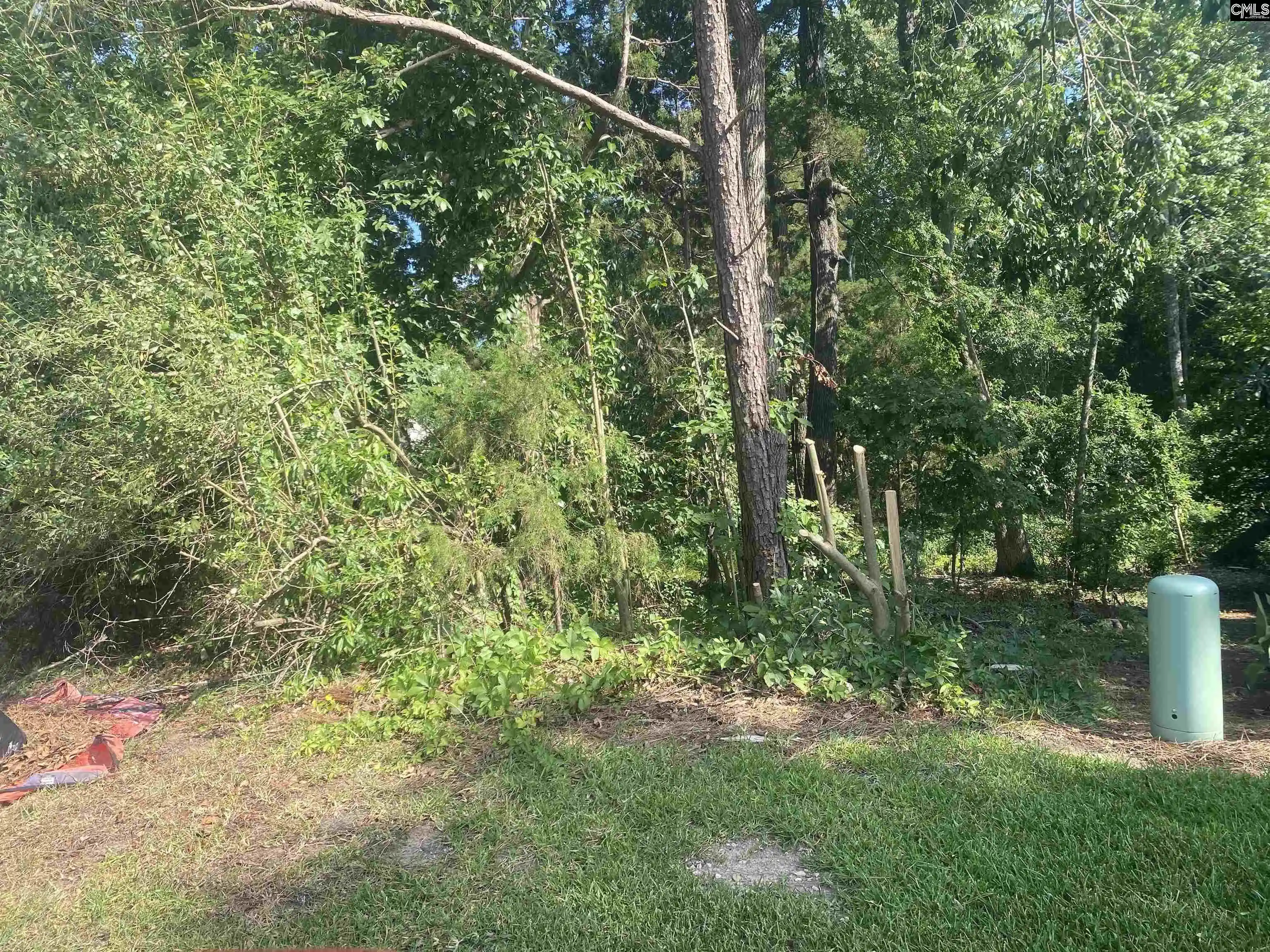 Homes for sale in Irmo, SC | 115 Beacon Point, Irmo, SC 29063 | MLS# 612400