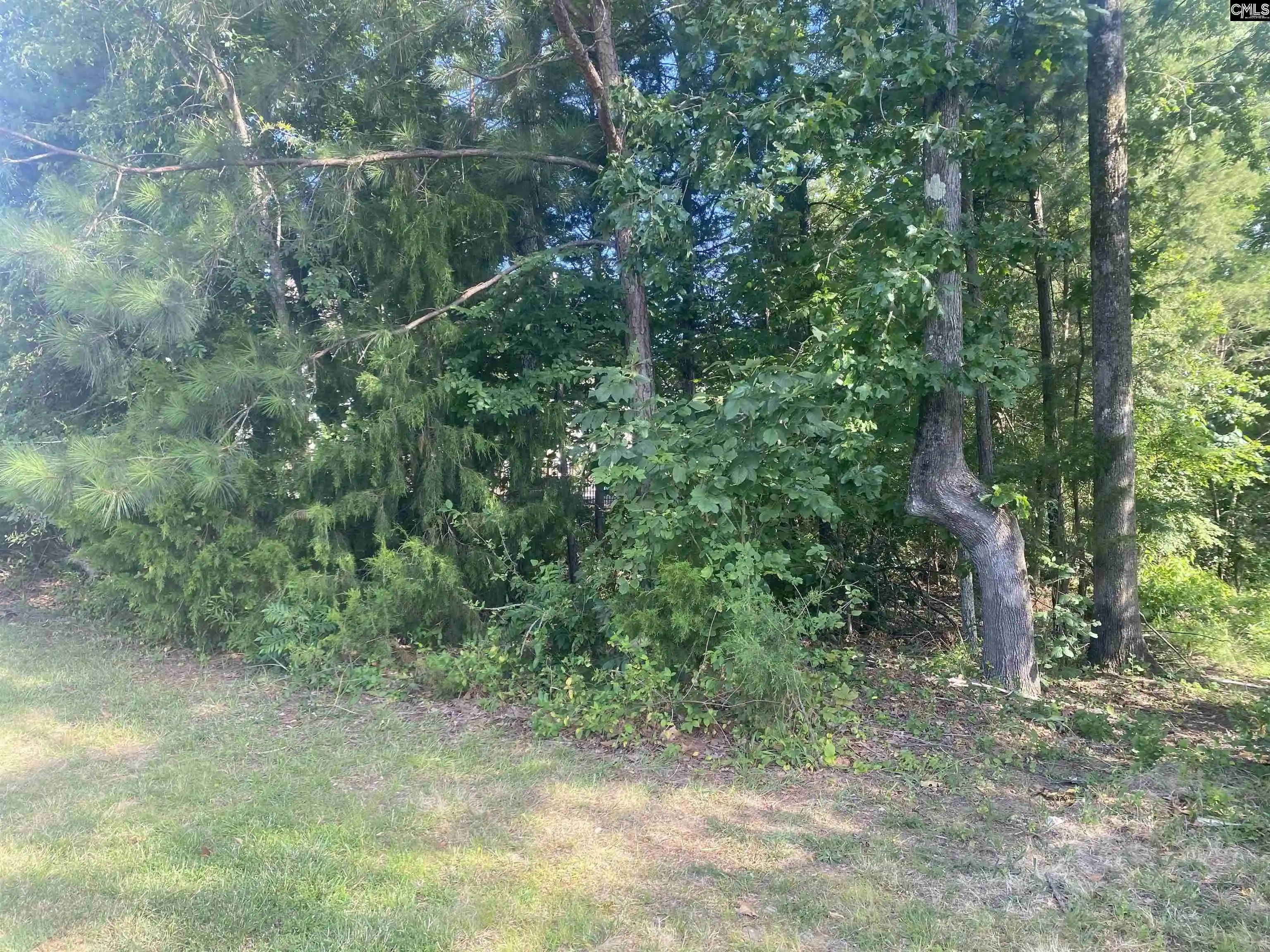 Photo 3 of Land for sale at 115 Beacon Point, Irmo, SC 29063 | MLS# 612400 | Listing updated on 2026-06-29