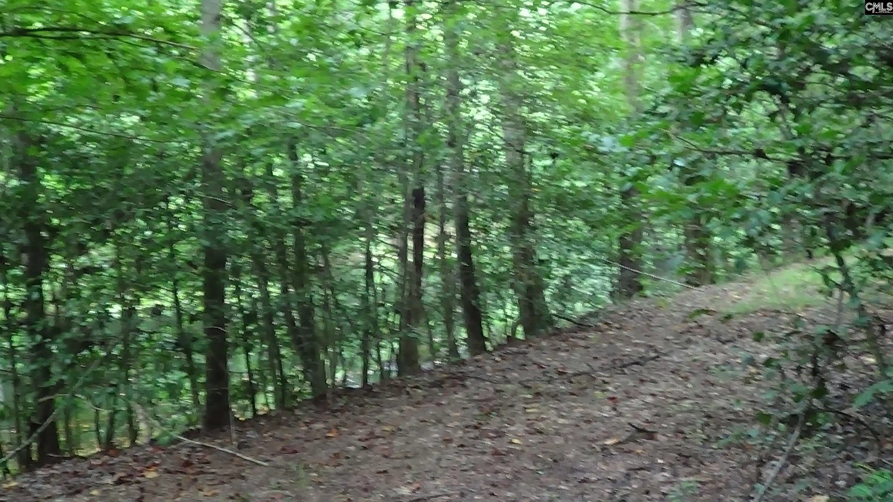 4th image of 2815 Hwy 1, Elgin, SC 29045 | MLS# 612734