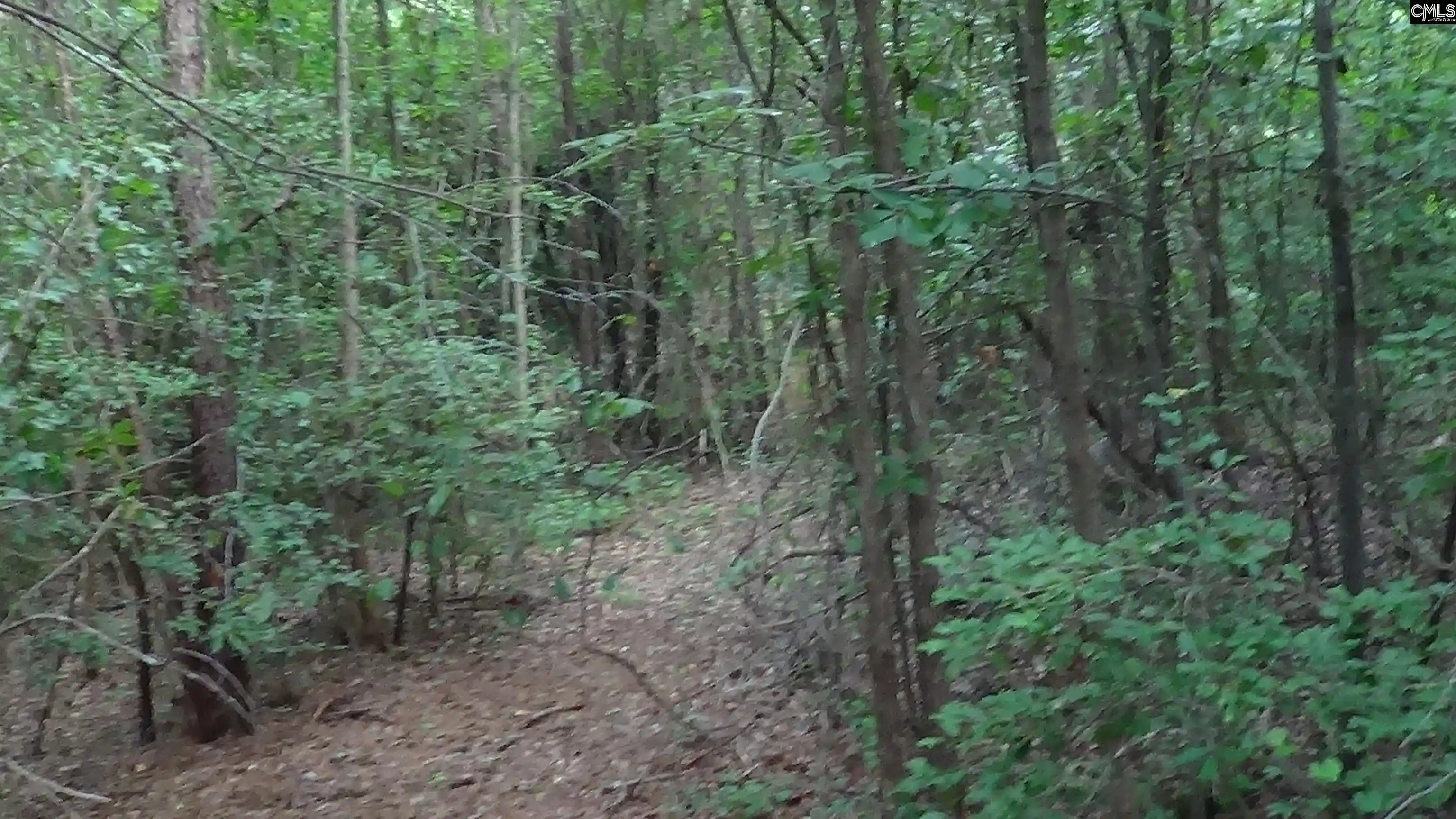 19th image of 2815 Hwy 1, Elgin, SC 29045 | MLS# 612734