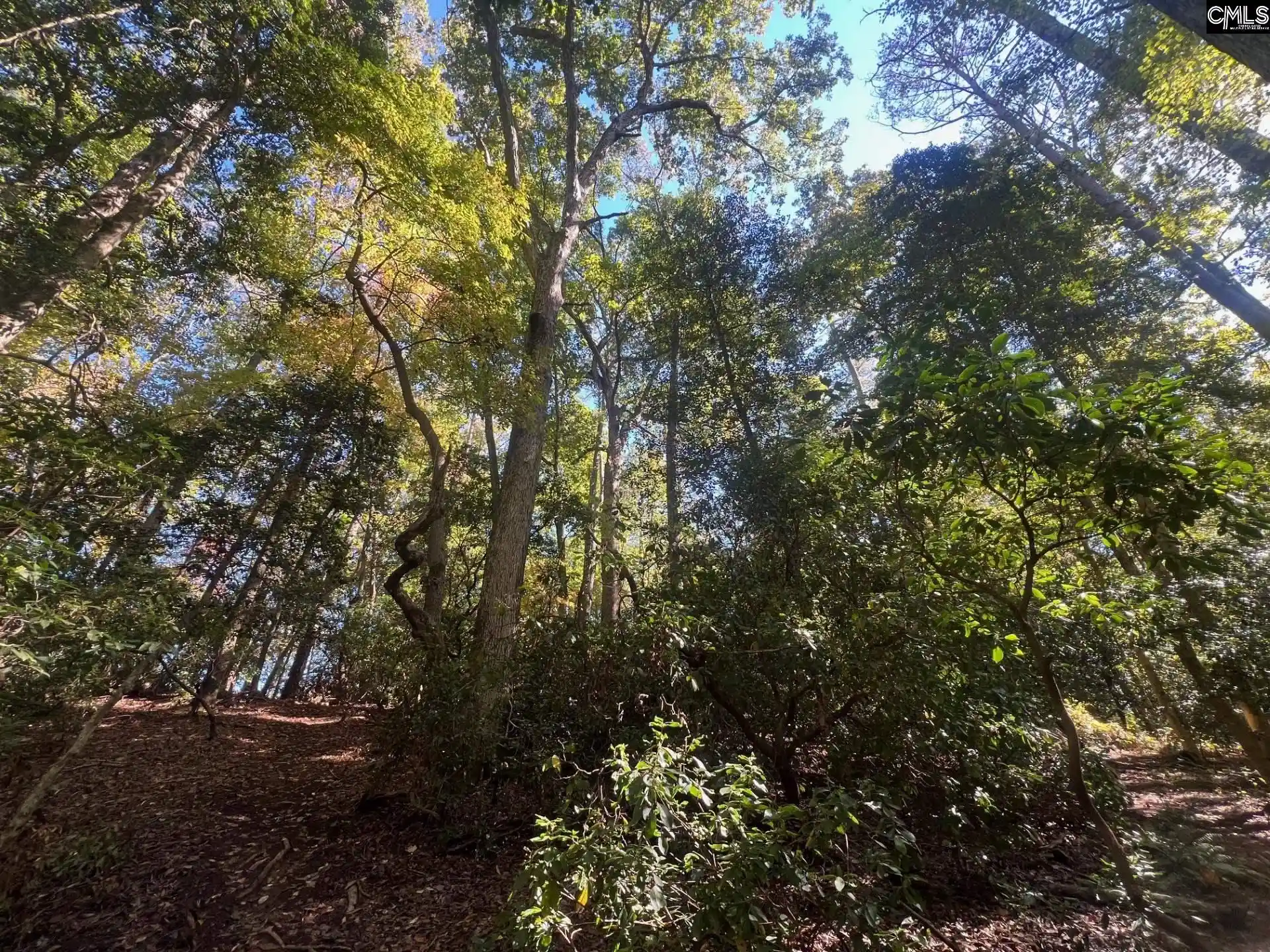 Land for sale at 0 Roper Mountain, Lexington, SC 29073 | MLS# 613841