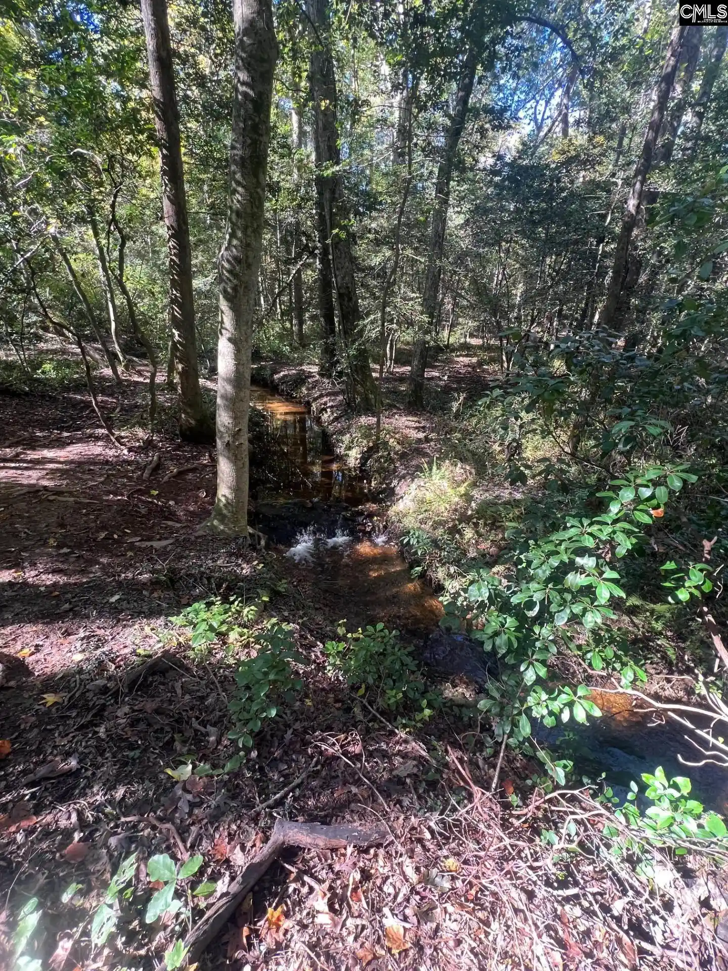 Photo 3 of Land for sale at 0 Roper Mountain, Lexington, SC 29073 | MLS# 613841 | Listing updated on 2026-08-19