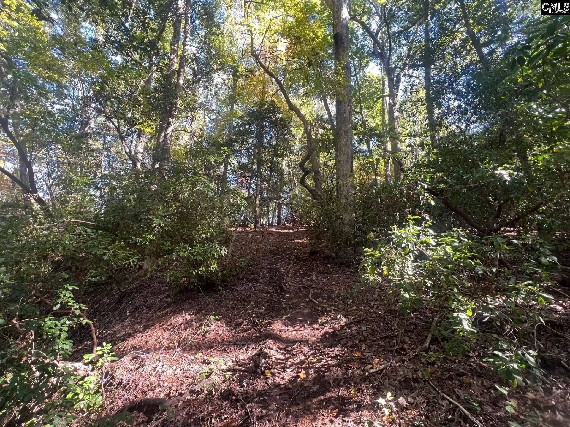 Photo 4 of Land for sale at 0 Roper Mountain, Lexington, SC 29073 | MLS# 613841 | Listing updated on 2026-08-19