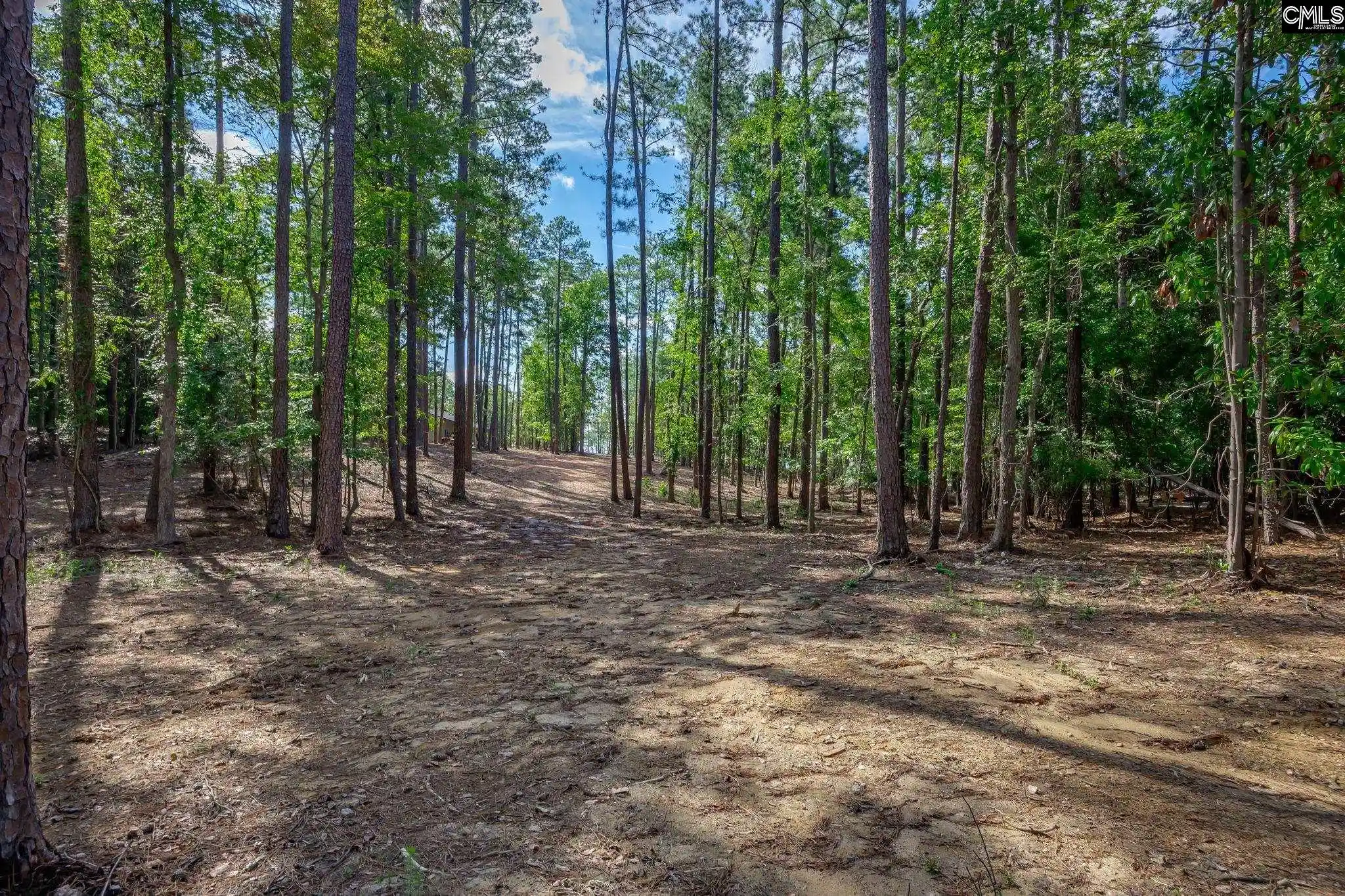 Photo 4 of Sale Pending at 1148 Shull Island Road, Gilbert, SC 29054 | MLS# 615490 | Listing updated on 2026-08-02