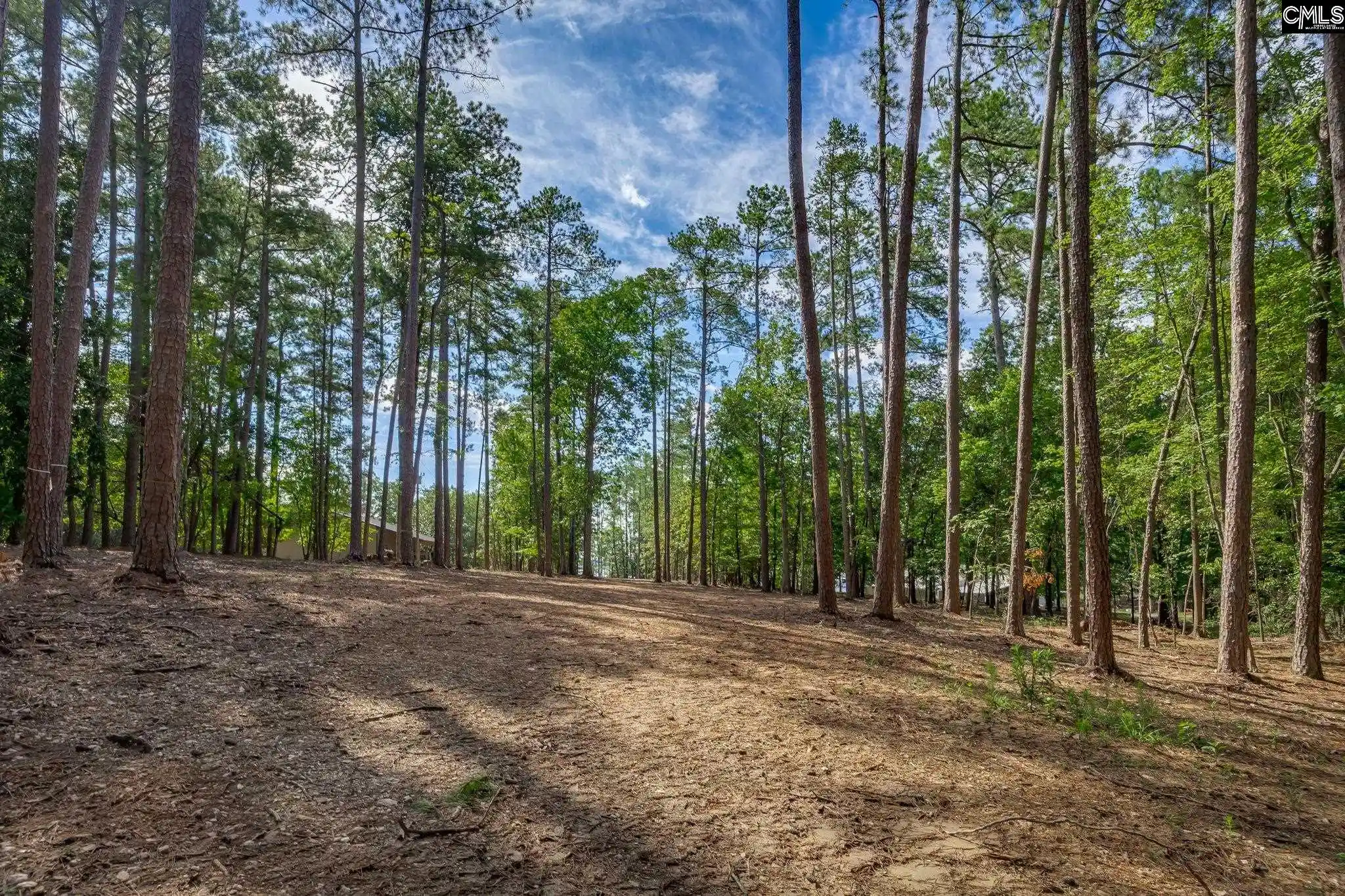 Photo 5 of Sale Pending at 1148 Shull Island Road, Gilbert, SC 29054 | MLS# 615490 | Listing updated on 2026-08-02