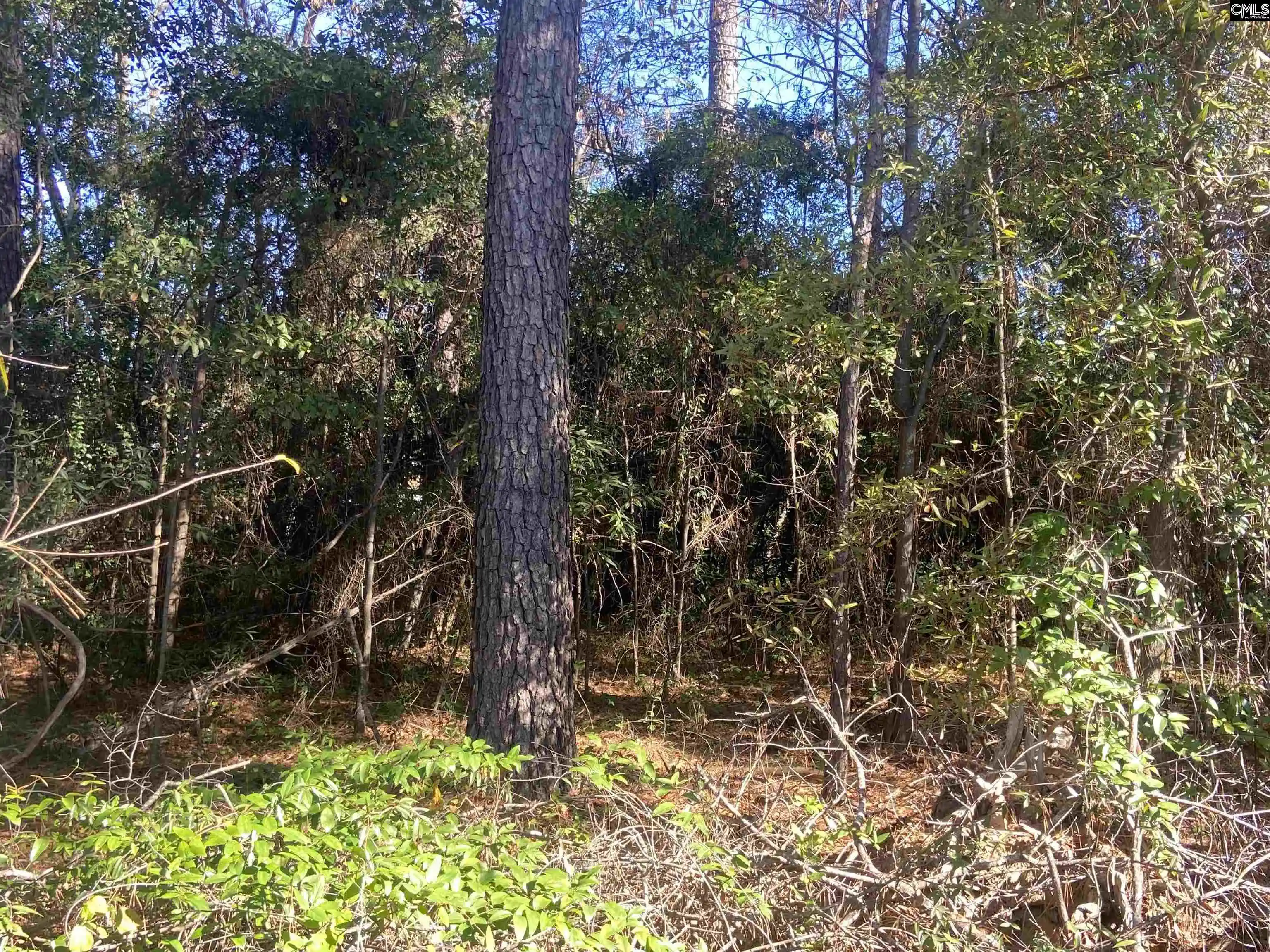 5th image of 2493 Main, Elgin, SC 29045 | MLS# 617395