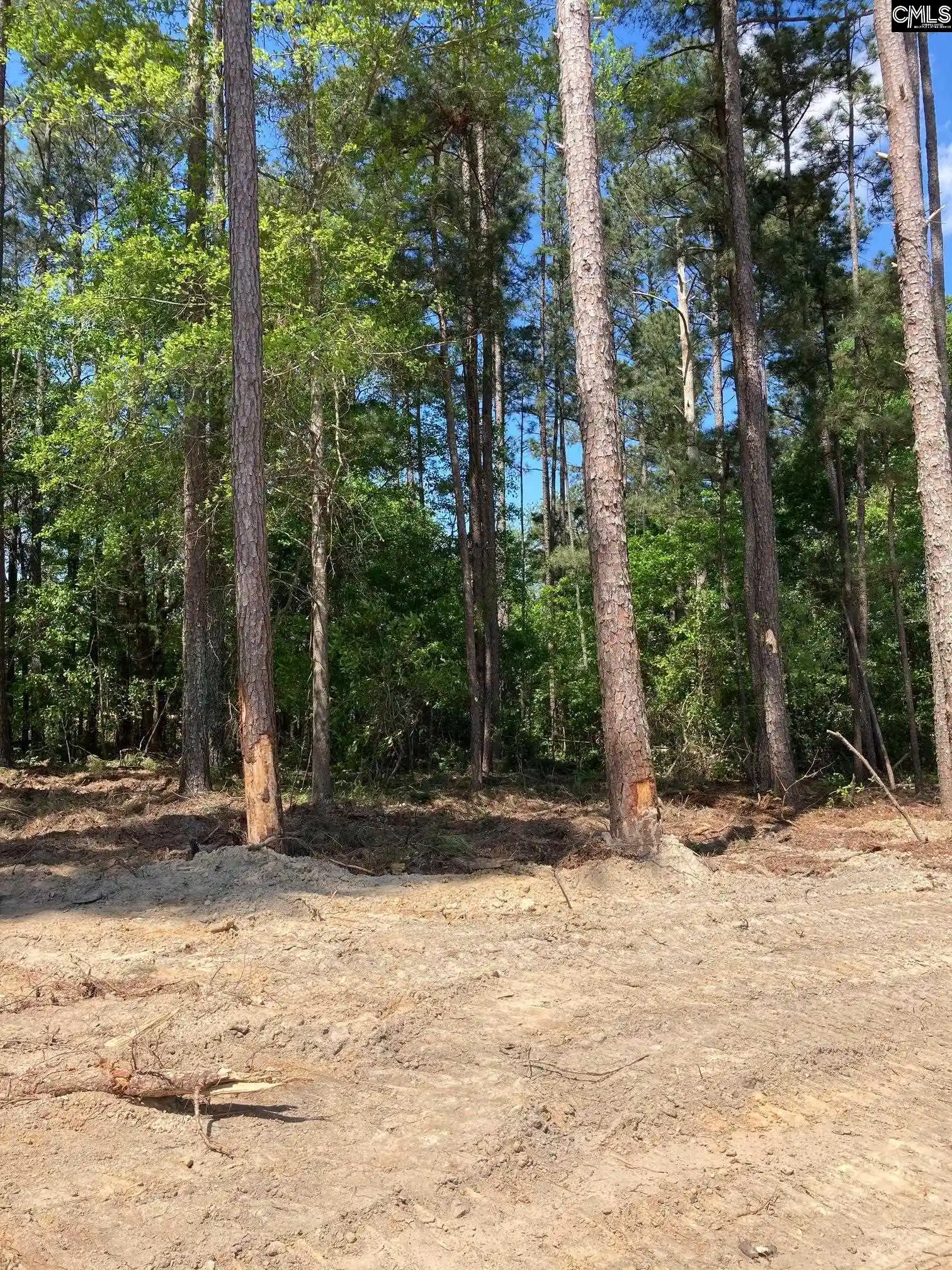 Photo 4 of Land for sale at 10735 Wilson, Blythewood, SC 29016 | MLS# 619581 | Listing updated on 2026-05-07