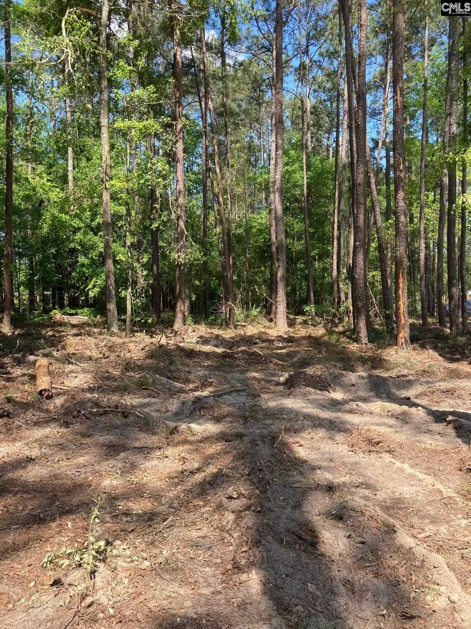 Photo 5 of Land for sale at 10735 Wilson, Blythewood, SC 29016 | MLS# 619581 | Listing updated on 2026-05-07