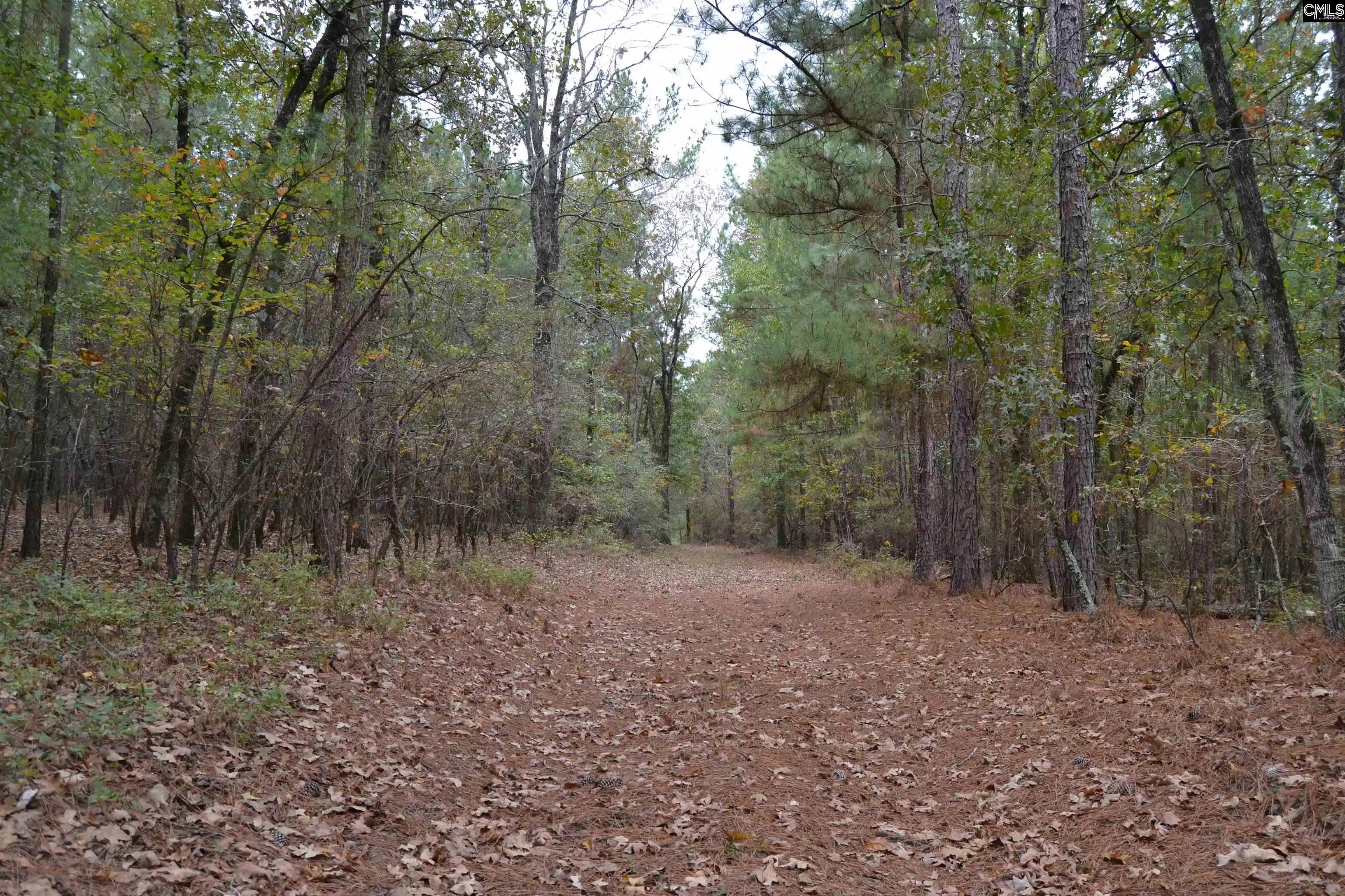 Homes for sale in Pelion, SC | 477 Thor, Pelion, SC | MLS# 620712