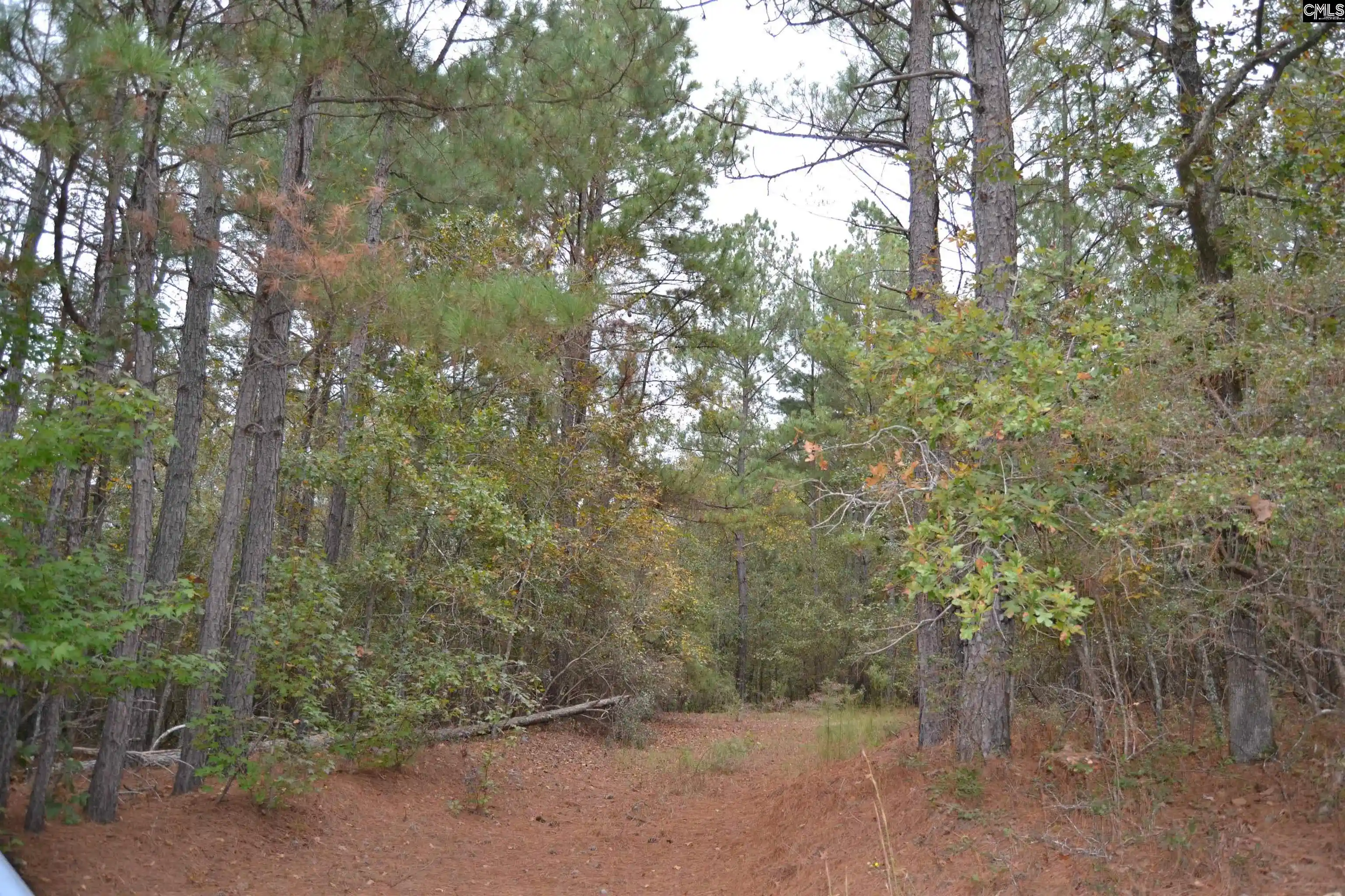 Homes for sale in Pelion, SC | 477 Thor, Pelion, SC | MLS# 620712