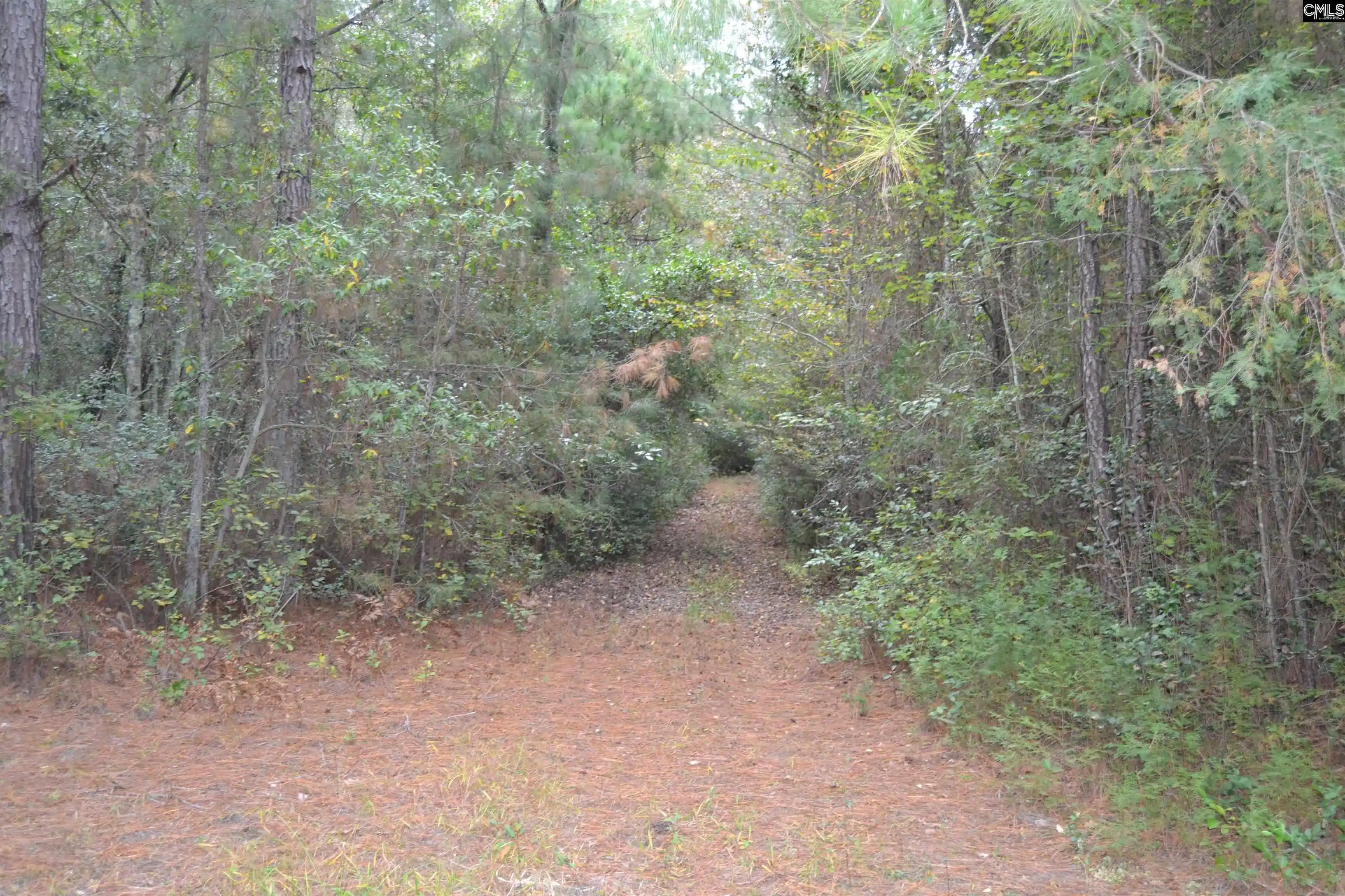Homes for sale in Pelion, SC | 477 Thor, Pelion, SC | MLS# 620712