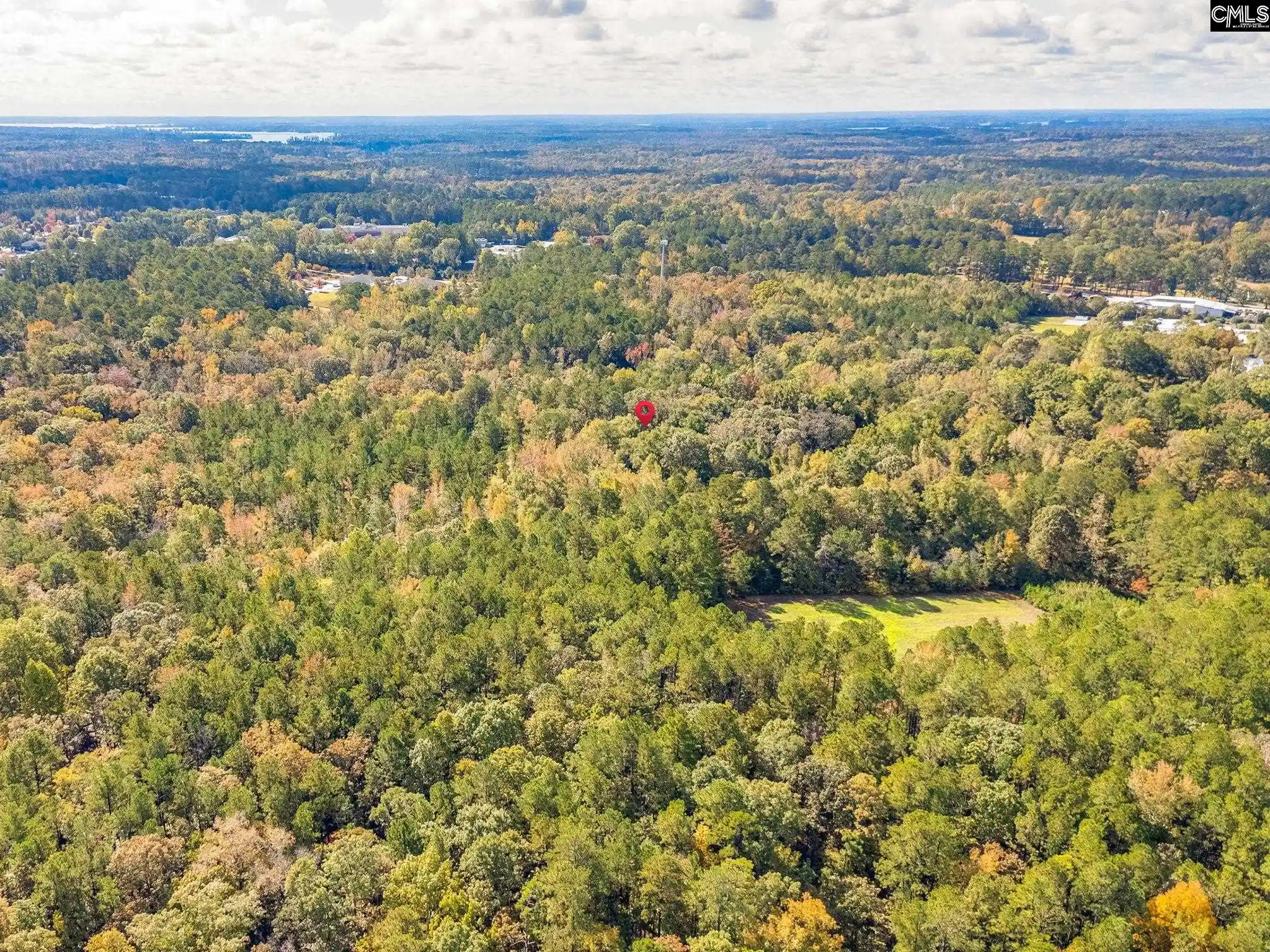 Photo 5 of Land for sale at 220 Courtland, Chapin, SC 29036 | MLS# 620721 | Listing updated on 2026-07-24