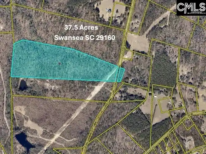 Homes for sale in Swansea, SC | Farm, Swansea, SC 29160 | MLS# 621165