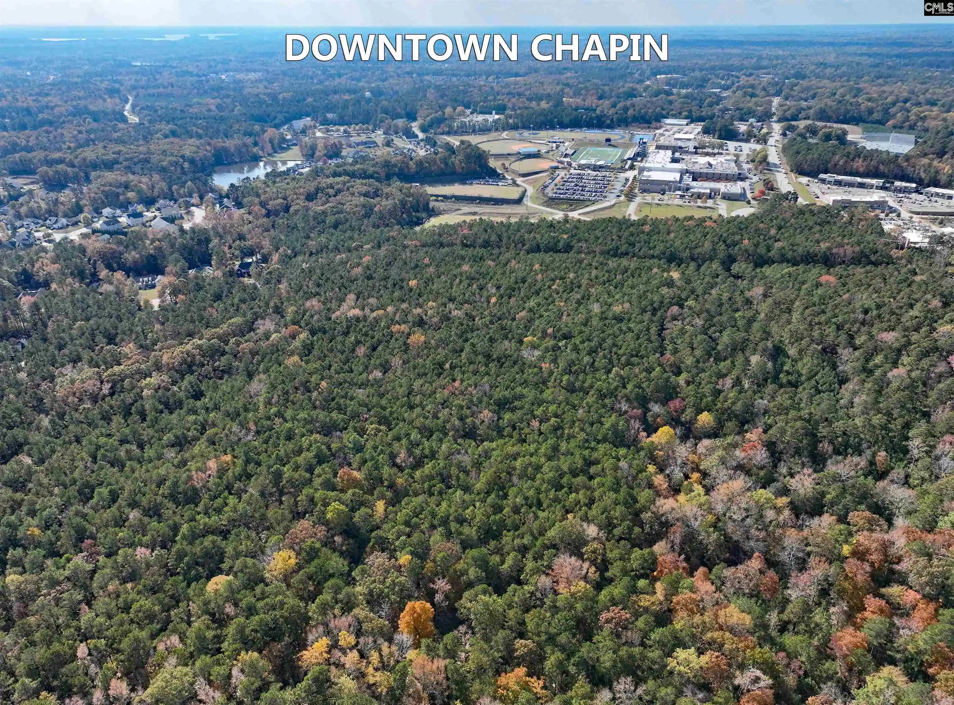 Photo 3 of Land for sale at 0 Woodthrush, Chapin, SC 29036 | MLS# 621834 | Listing updated on 2025-11-17