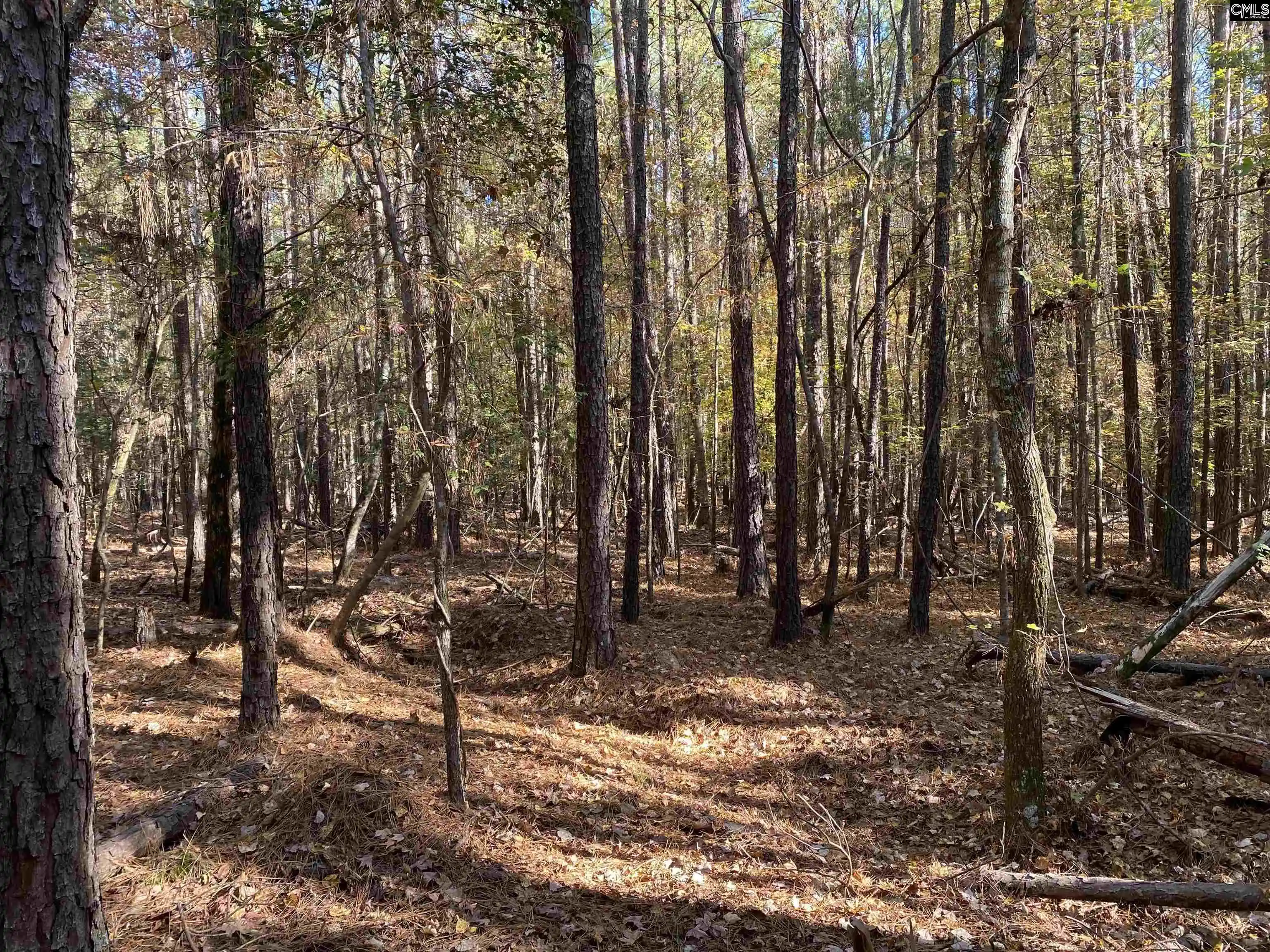 Photo 4 of Land for sale at 0 Woodthrush, Chapin, SC 29036 | MLS# 621834 | Listing updated on 2025-11-17
