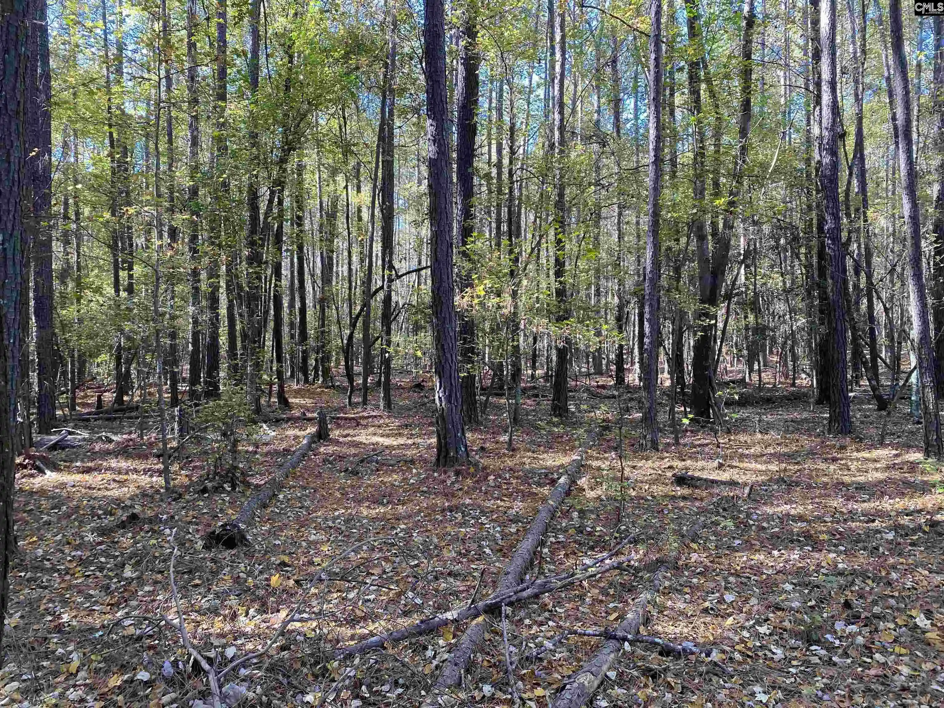 Photo 5 of Land for sale at 0 Woodthrush, Chapin, SC 29036 | MLS# 621834 | Listing updated on 2025-11-17