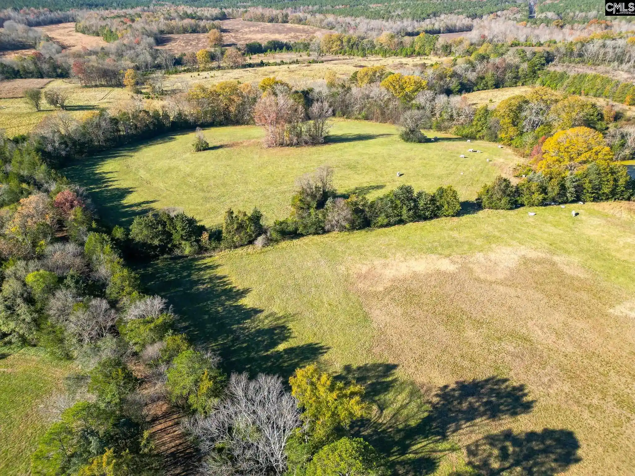 5th image of 1049 Culp Ferguson, Lancaster, SC 29720 | MLS# 621921
