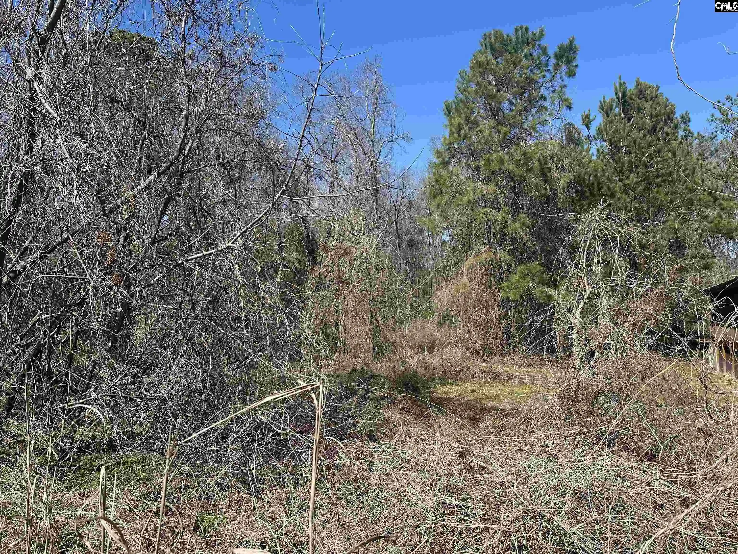 Land for sale at 97 Charmont, Columbia, SC 29223 | MLS# 622477