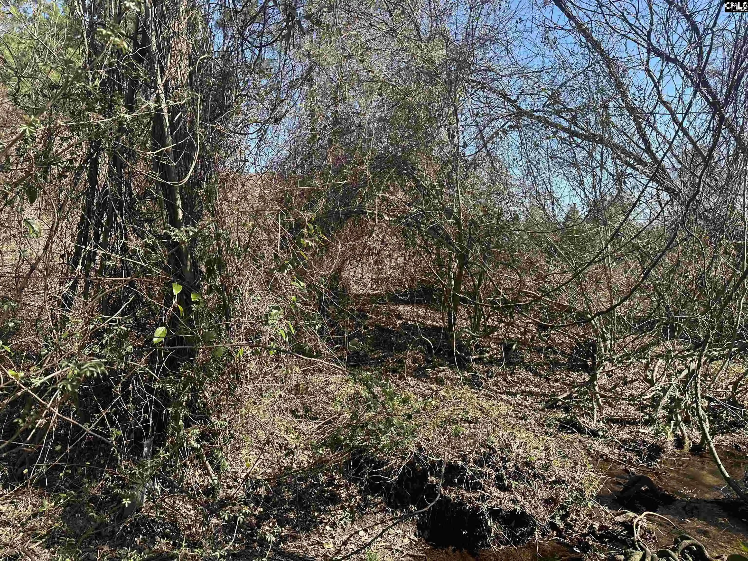 Photo 2 of Land for sale at 97 Charmont, Columbia, SC 29223 | MLS# 622477 | Listing updated on 2026-04-30