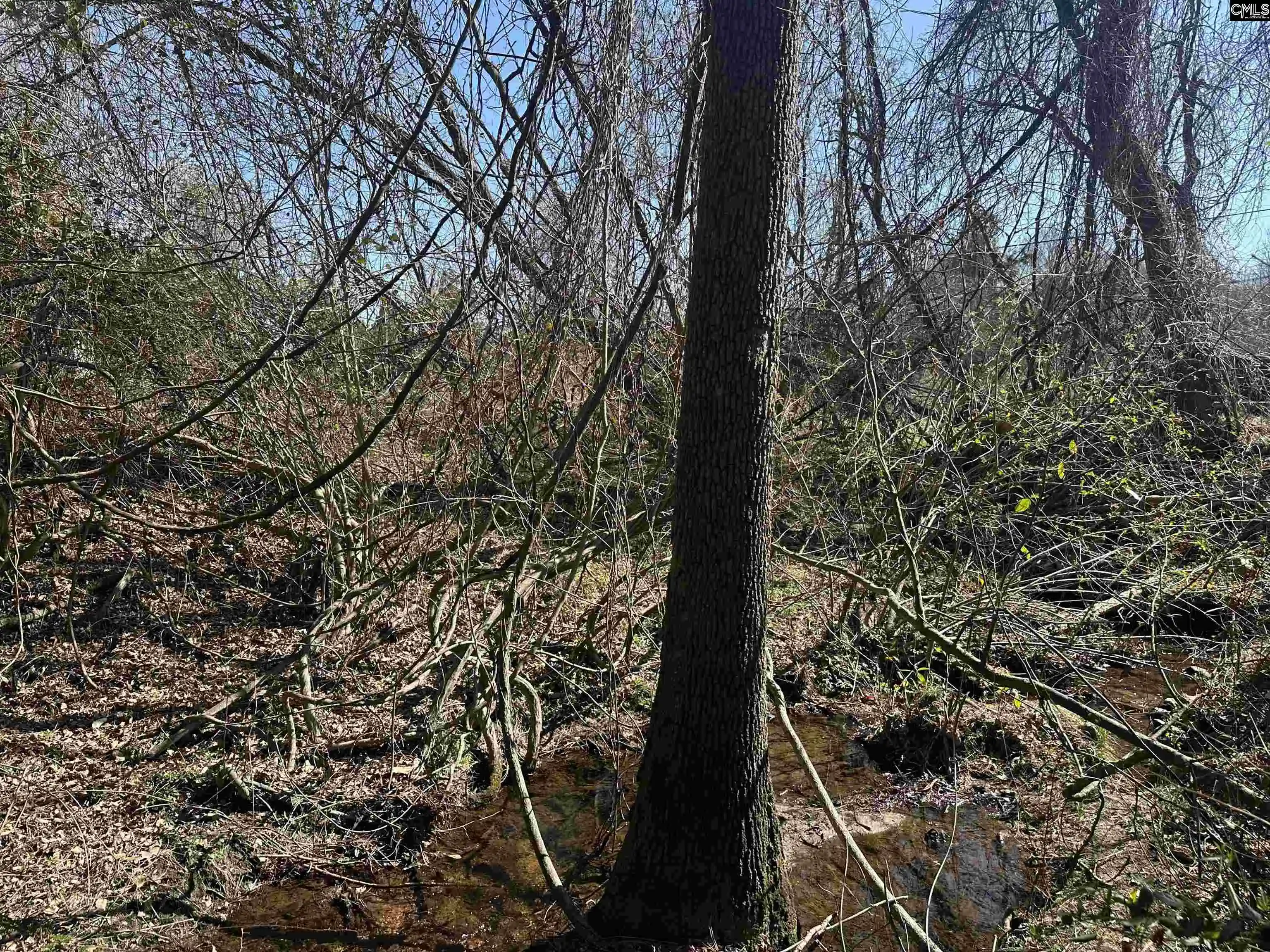 Photo 3 of Land for sale at 97 Charmont, Columbia, SC 29223 | MLS# 622477 | Listing updated on 2026-04-30