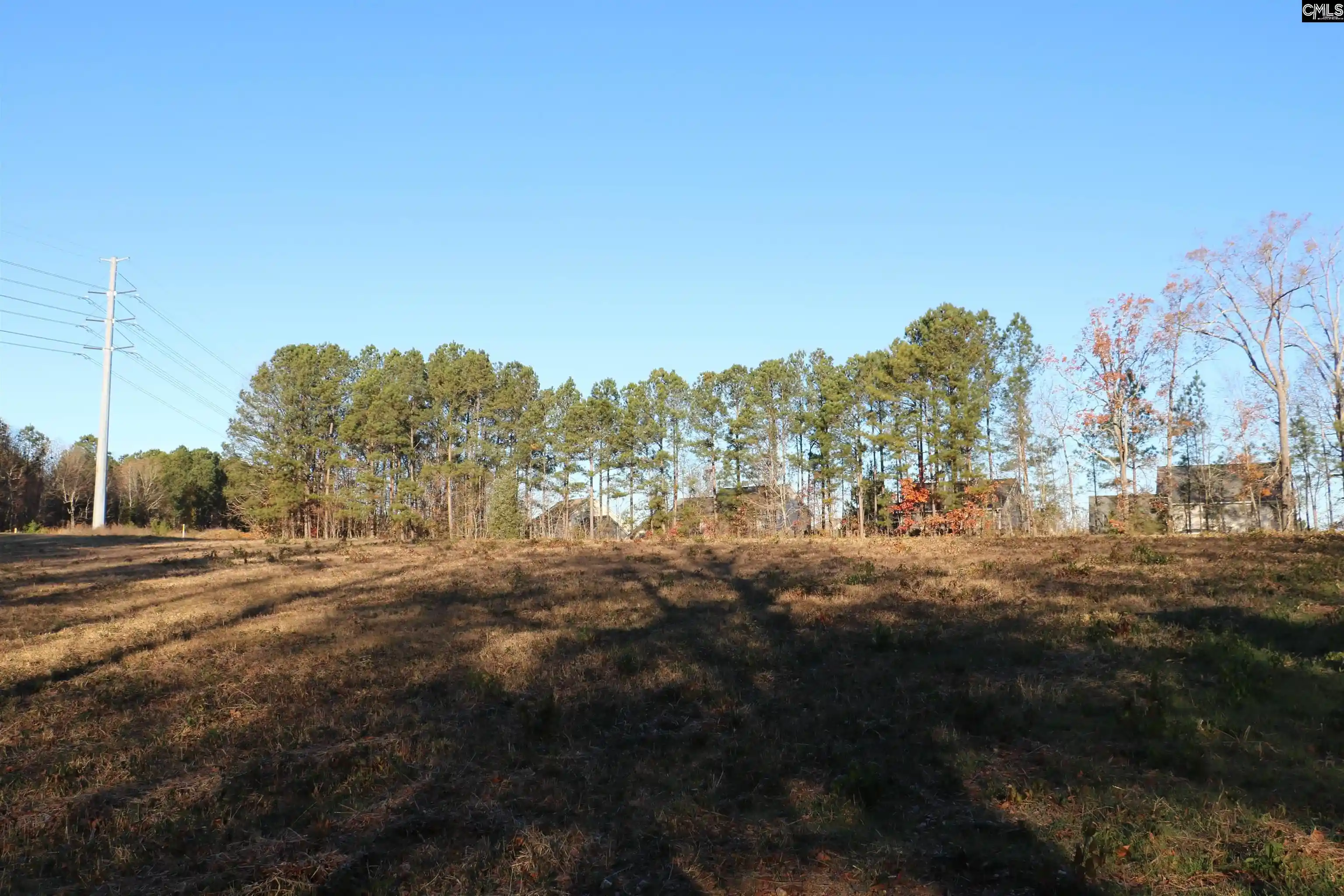 Photo 4 of Land for sale at 0 Bethany, Irmo, SC 29063 | MLS# 623284 | Listing updated on 2025-12-15