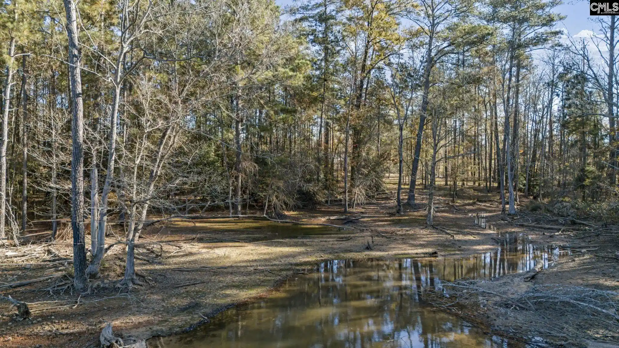 Photo 28 of Sale Pending at Navigator, Prosperity, SC 29127 | MLS# 623294 | Listing updated on 2026-08-31