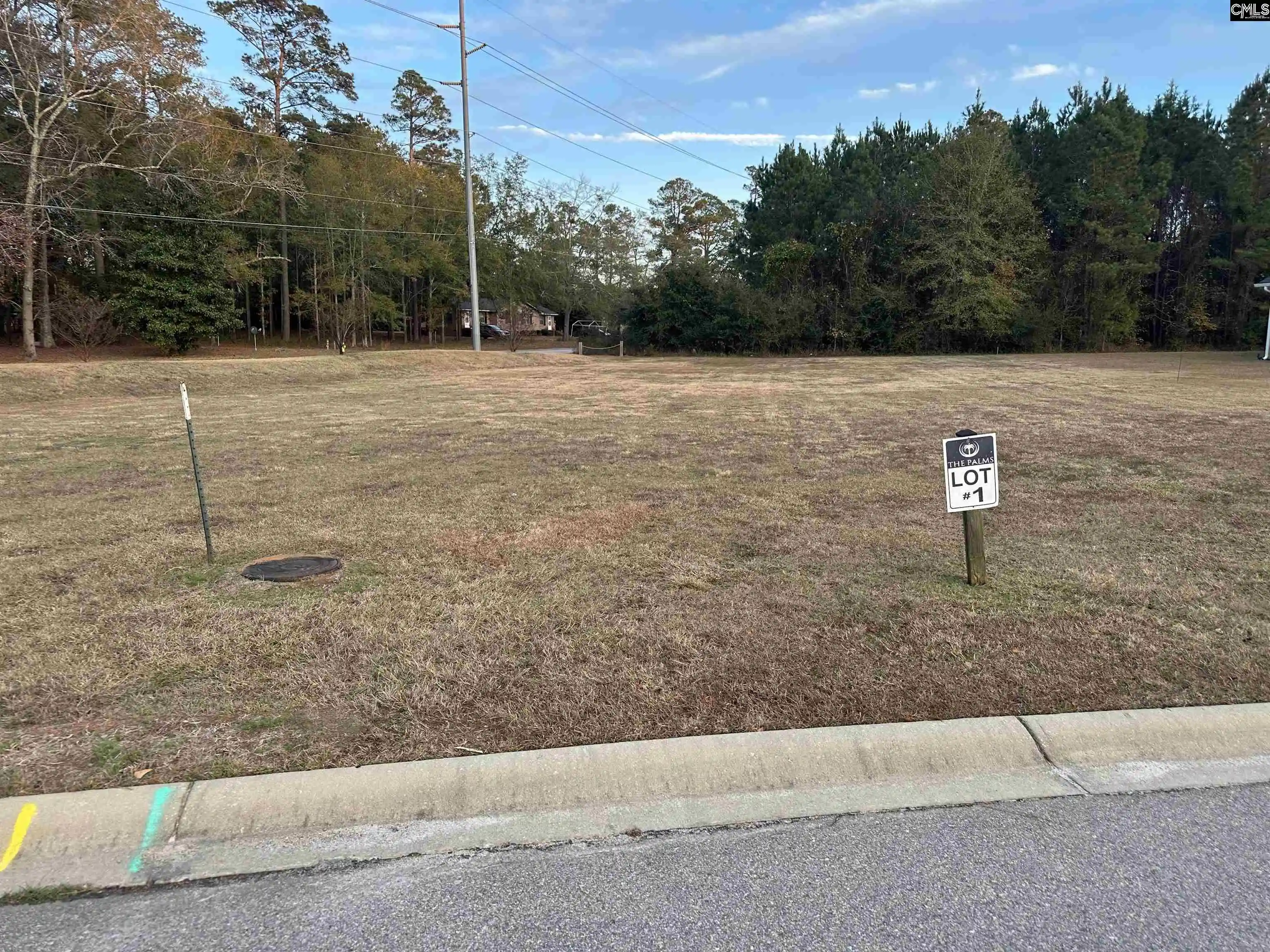 1st image of 00 Sago Palm, Orangeburg, SC 29118 | MLS# 623808